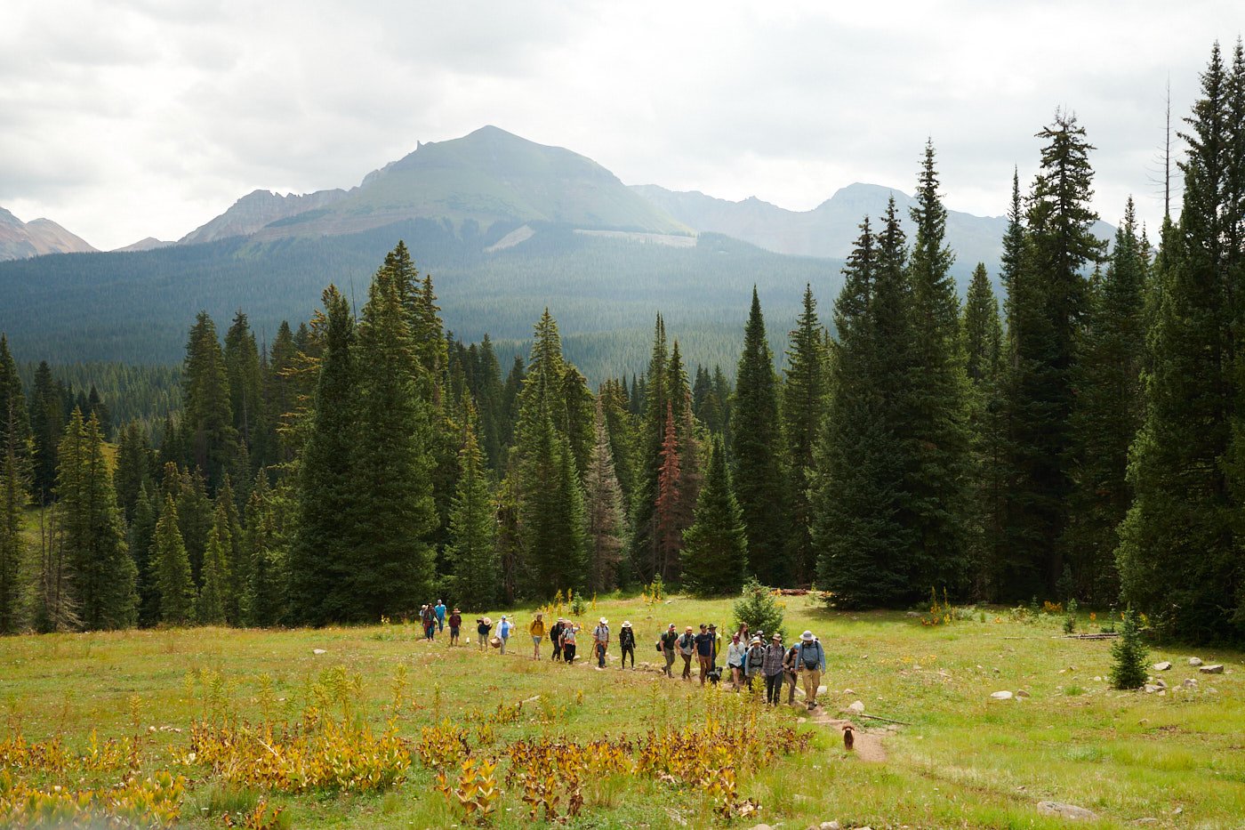 Telluride Mushroom Festival for Travel + Leisure - All Photos Theo Stroomer ©