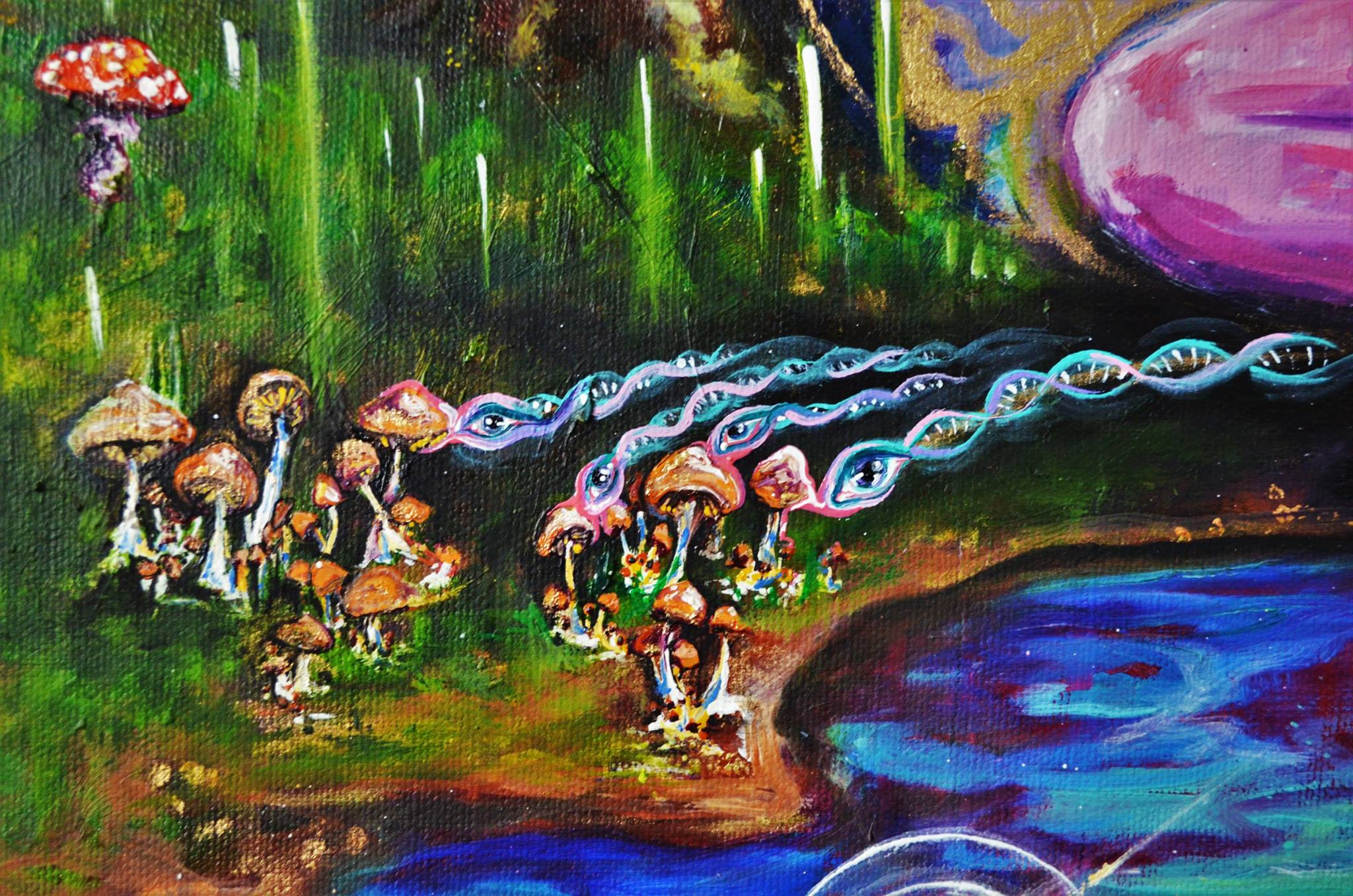 eye of the mushroom.jpg