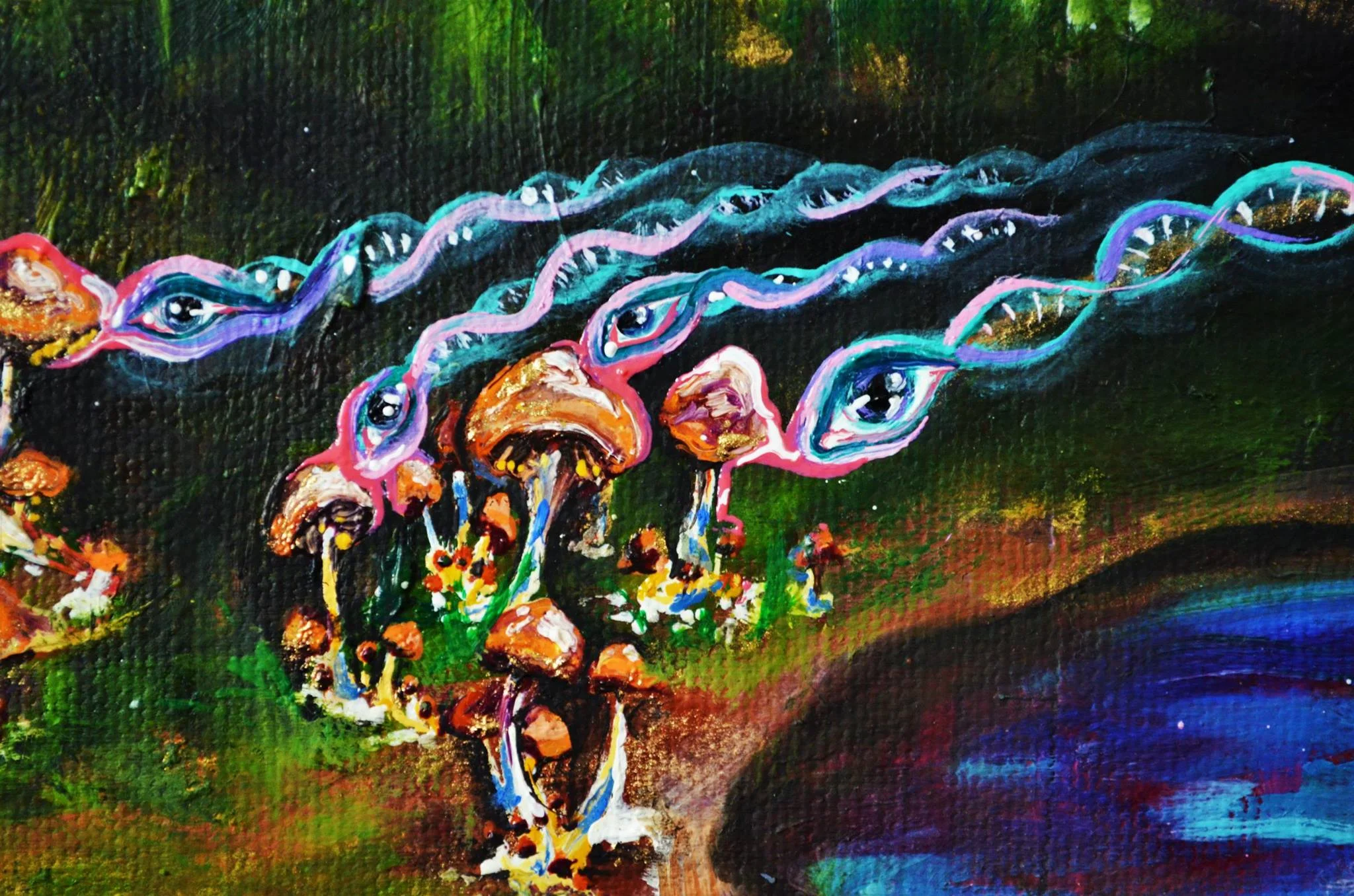 eyes of the mushroom.jpg