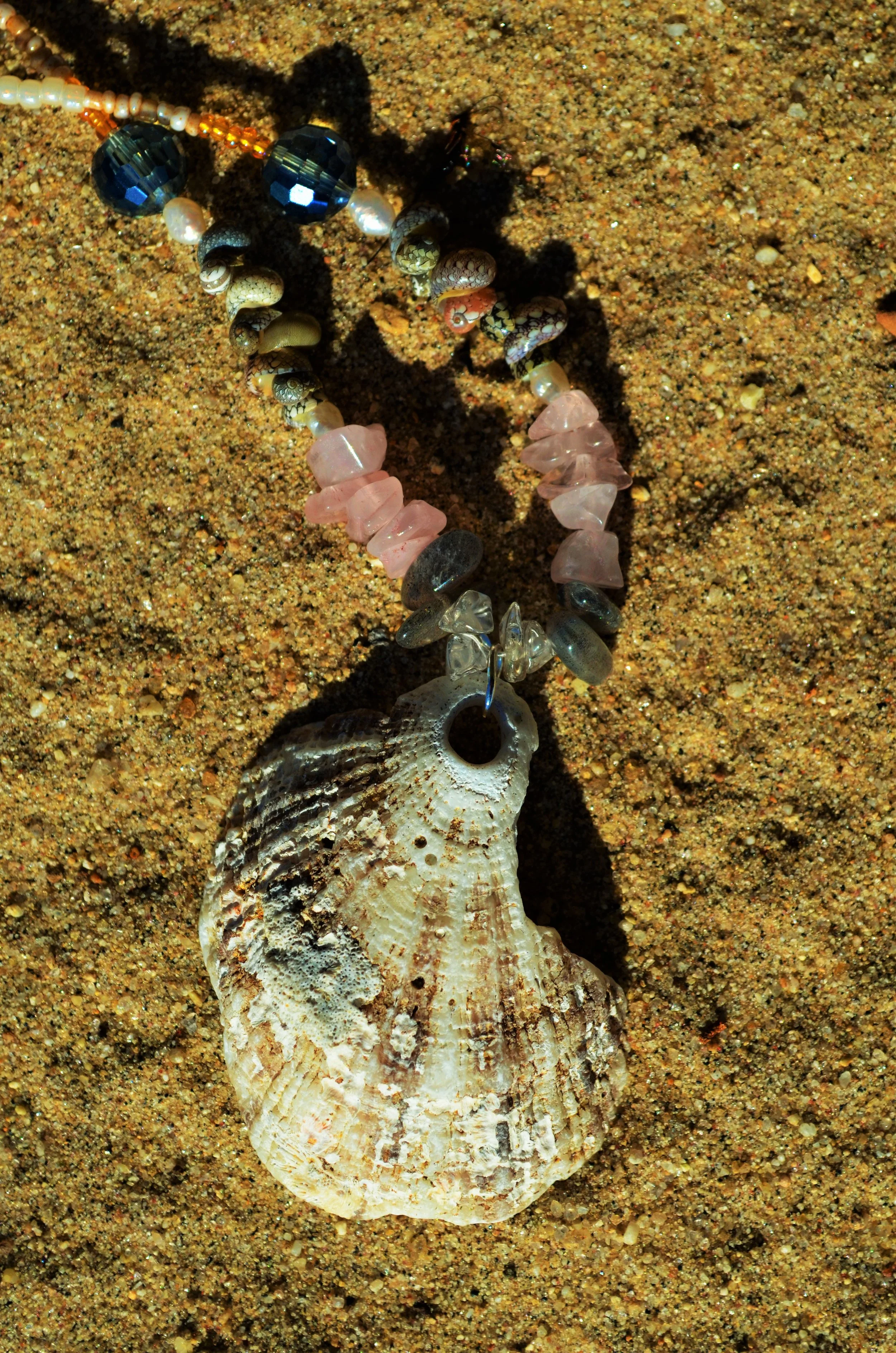 DSC_0185.JPG