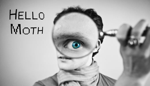 hello_moth6.jpg