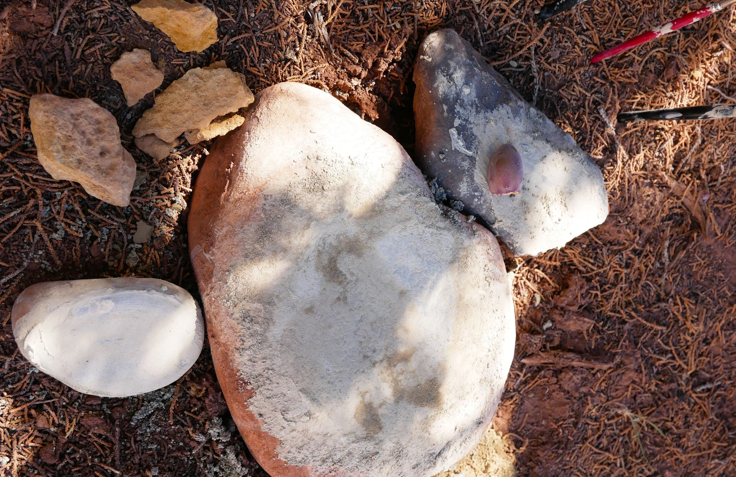 big.rock.jpg