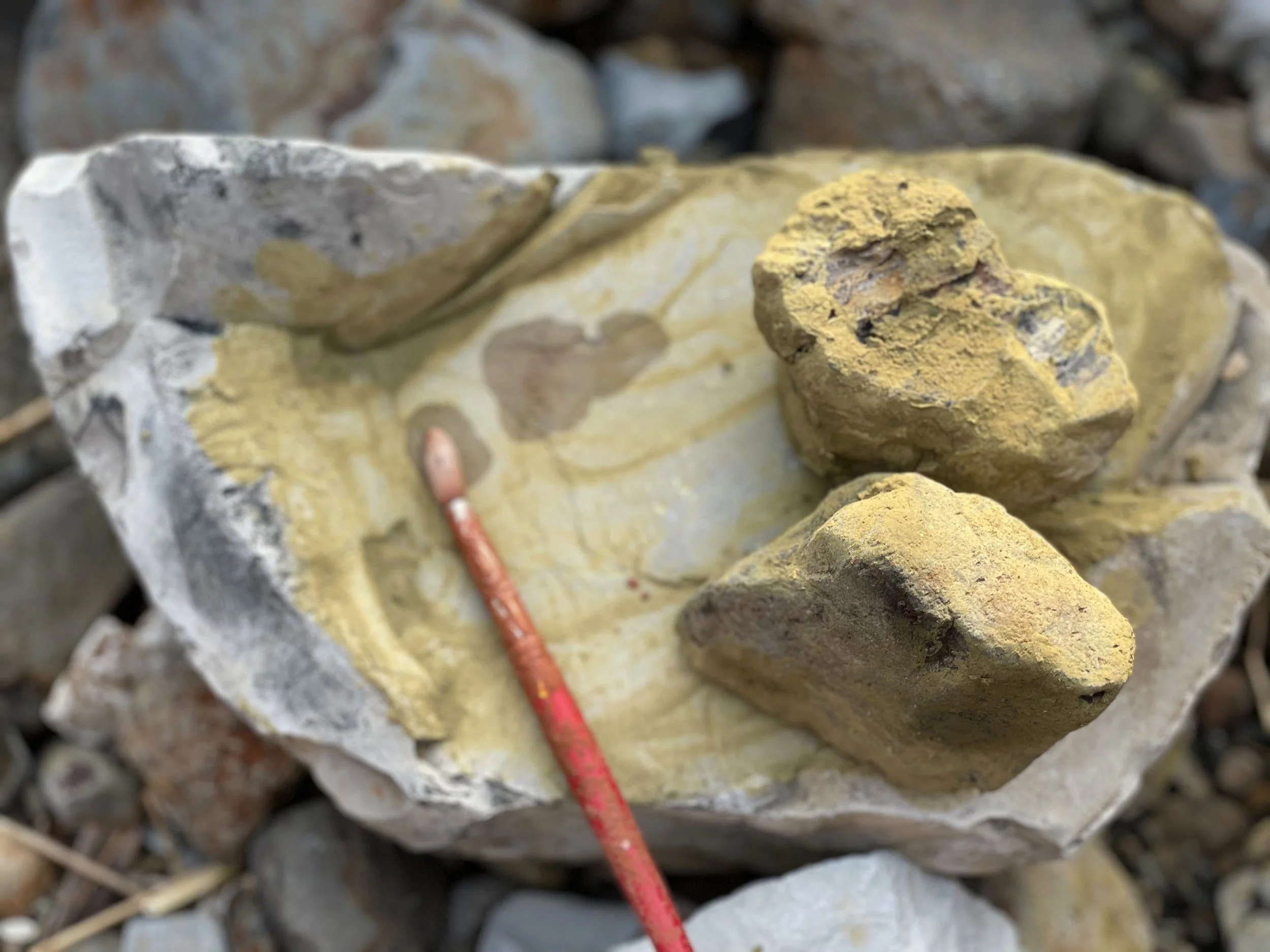 grinding.rocks.nestuyc.jpg