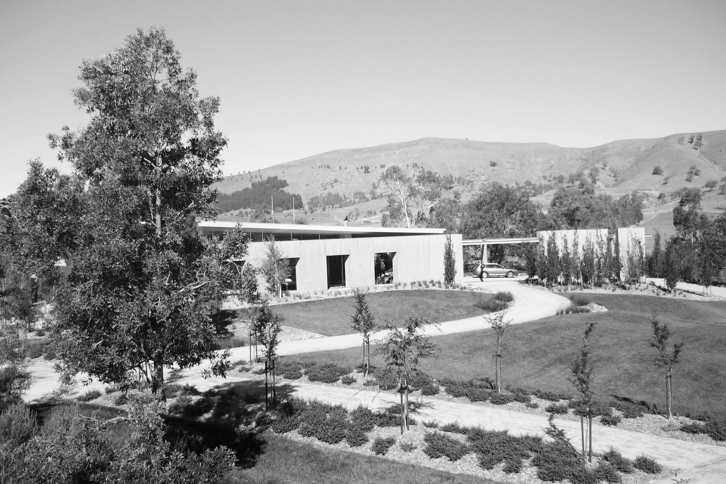 P1020126 BW.jpg