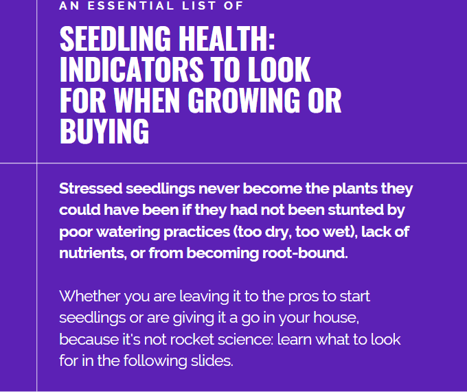 SEEDLING HEALTH