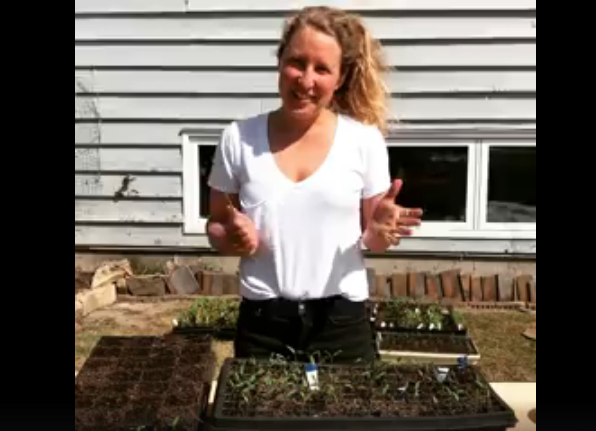 VIDEO: POTTING UP YOUR SEEDLINGS