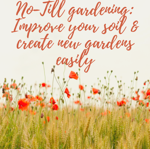 NO TILL GARDENING