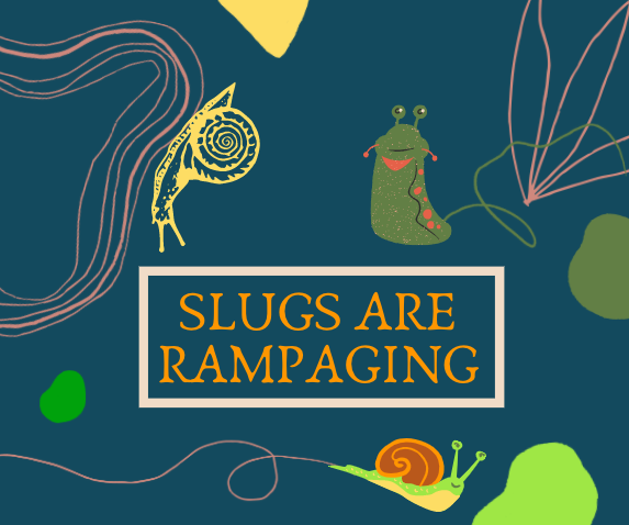 Controlling Slugs