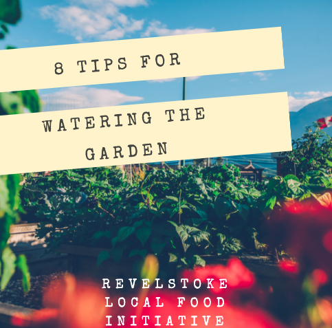 WATERING TIPS