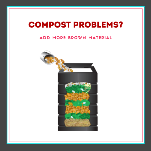 COMPOST PROBLEMS