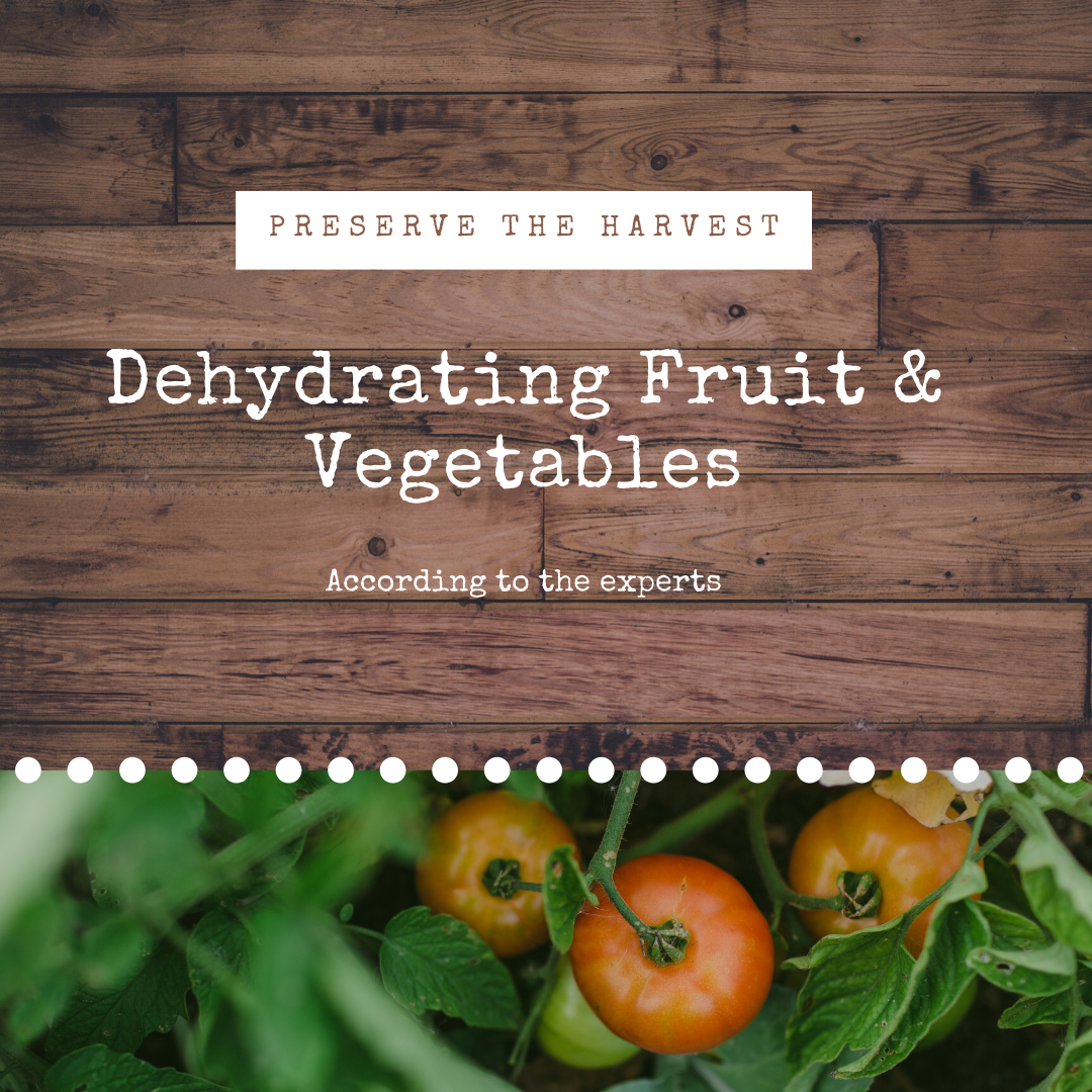 Dehydrating Fruits &amp; Veg