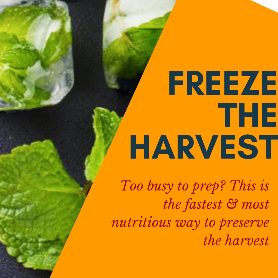 Freeze the Harvest