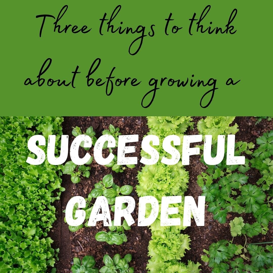 Three things to think about before growing a successful garden.jpg