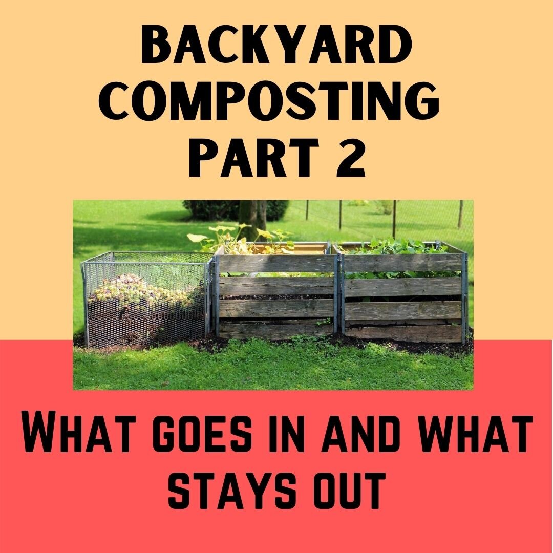 Backyard Composting Part 2.jpg