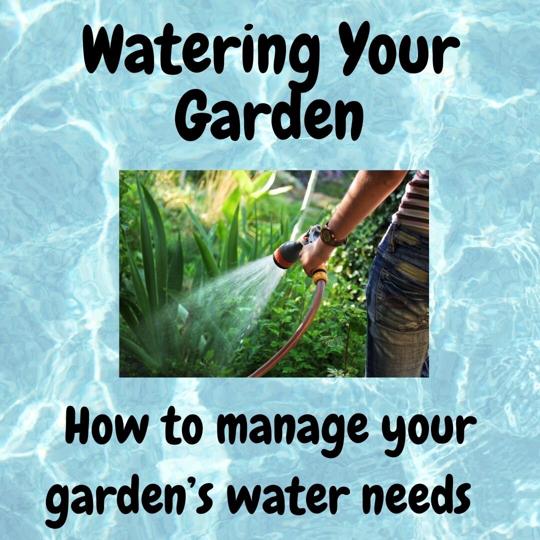 Managing your garden’s water needs.jpg