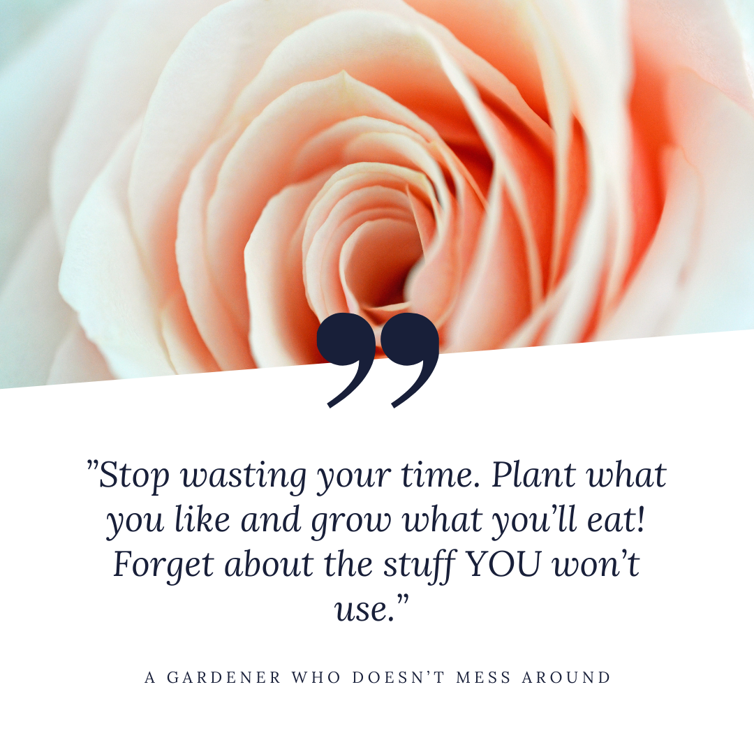 White and Pink Petals Photo Summer Quote Instagram Post.png