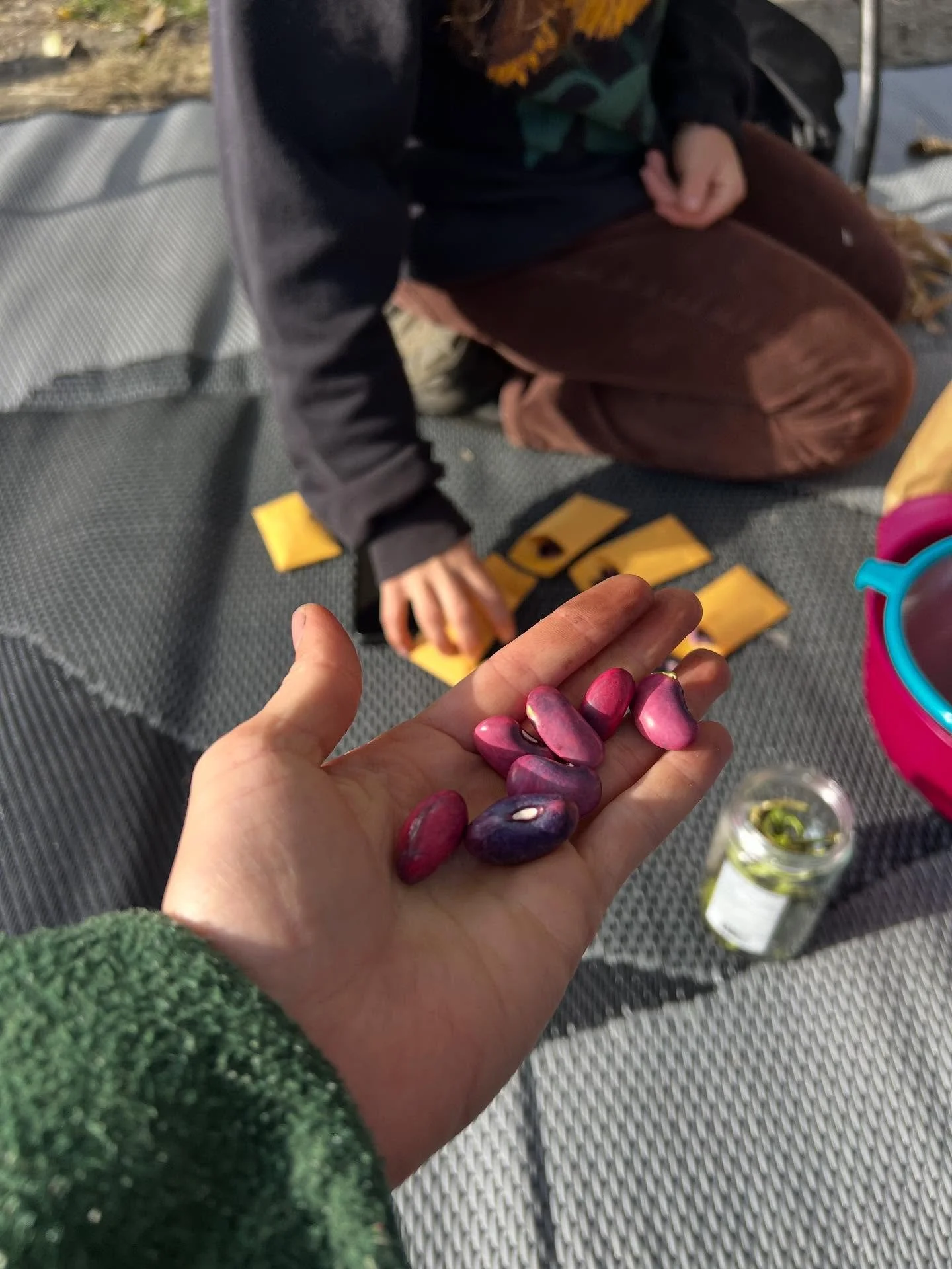 On Saturday, October 4, a group of passionate seed savers gathered at the Food Commons to share stories of connection and hope through seeds. 🫘
Thank you so much to @columbiashuswapinvasives and @revelstokelocalfood for sharing your knowledge! Keep 