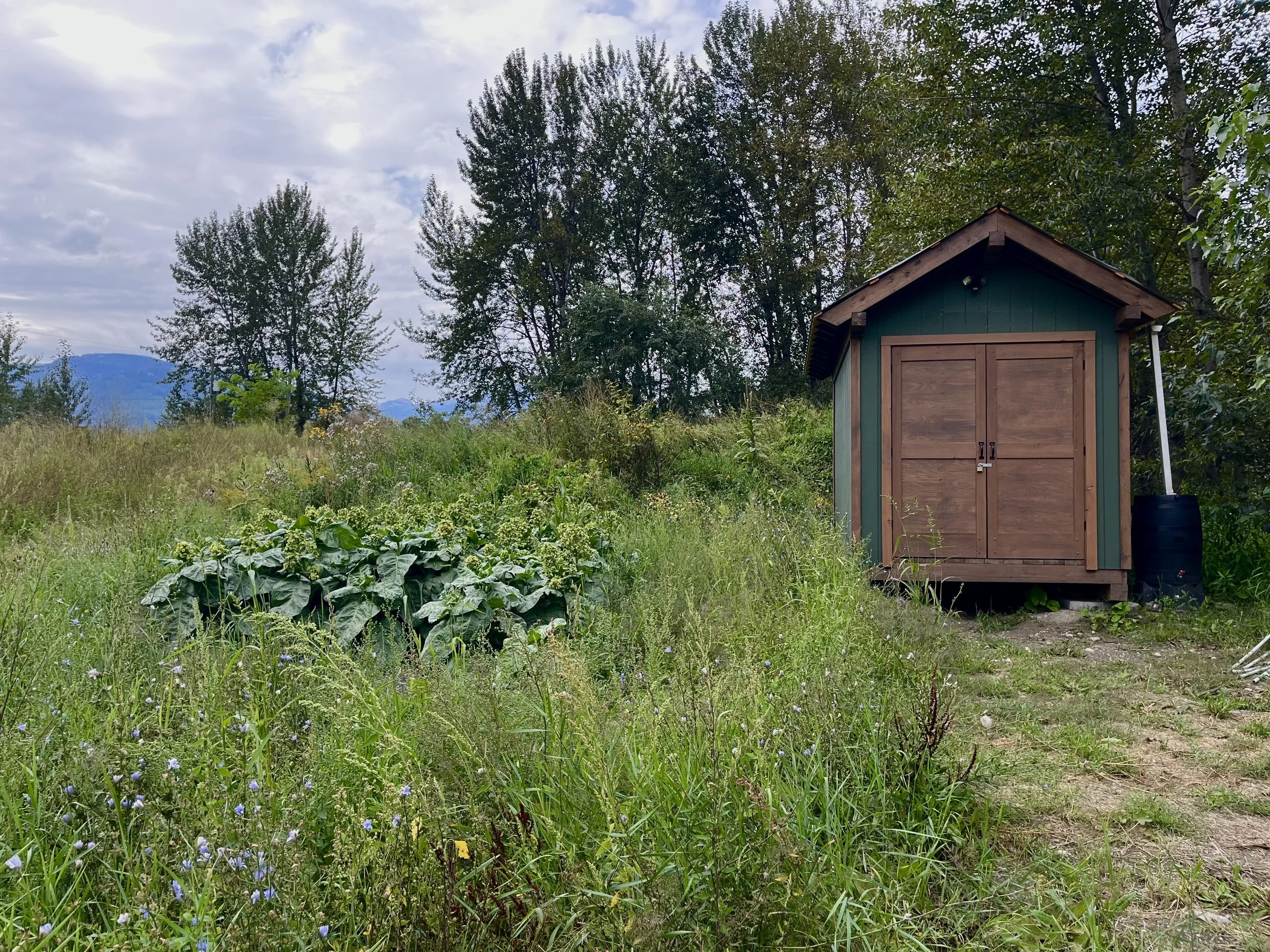 Our new shed, built by North Columbia Builders. 