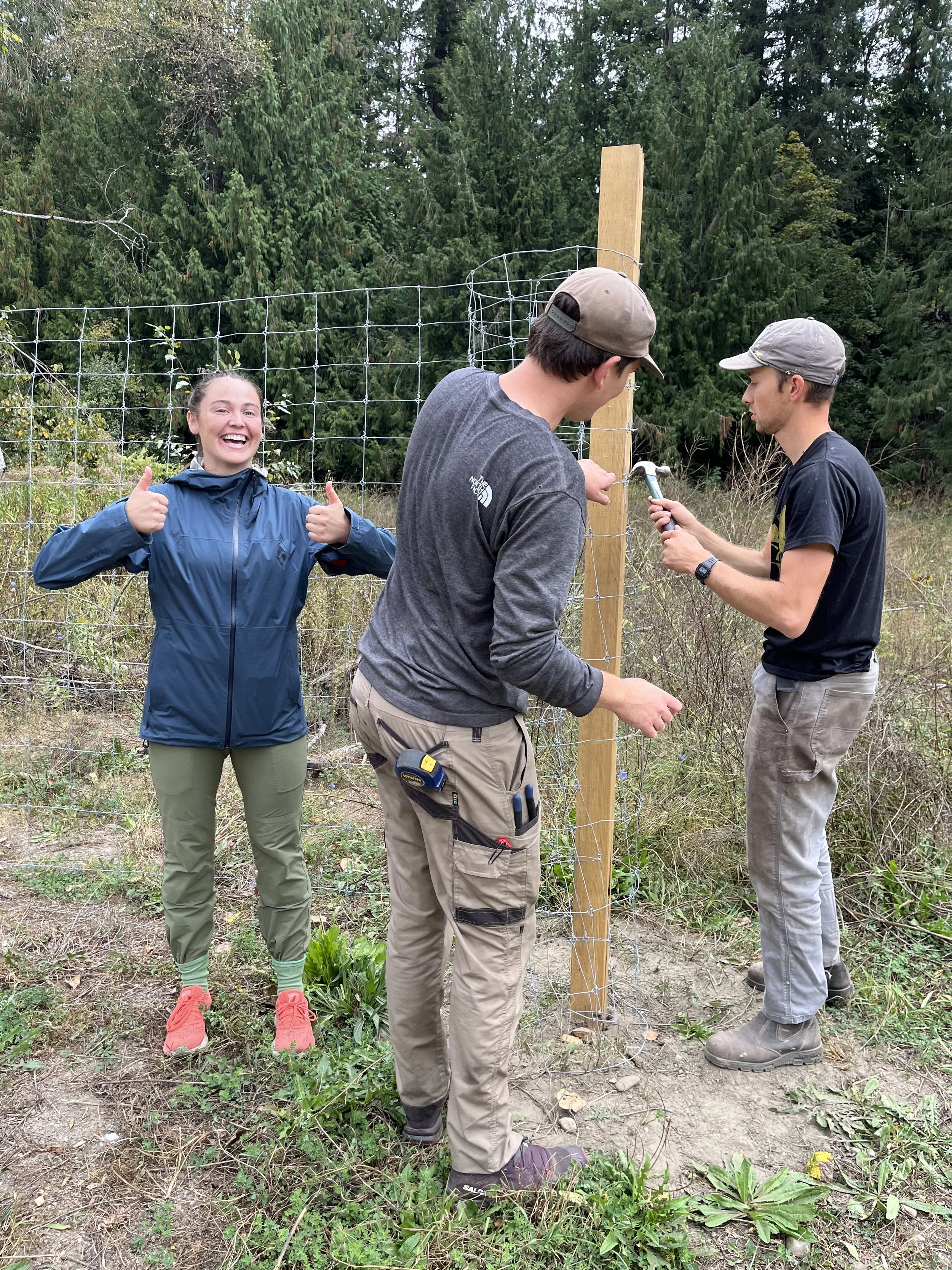 Fence building with the help of volunteers