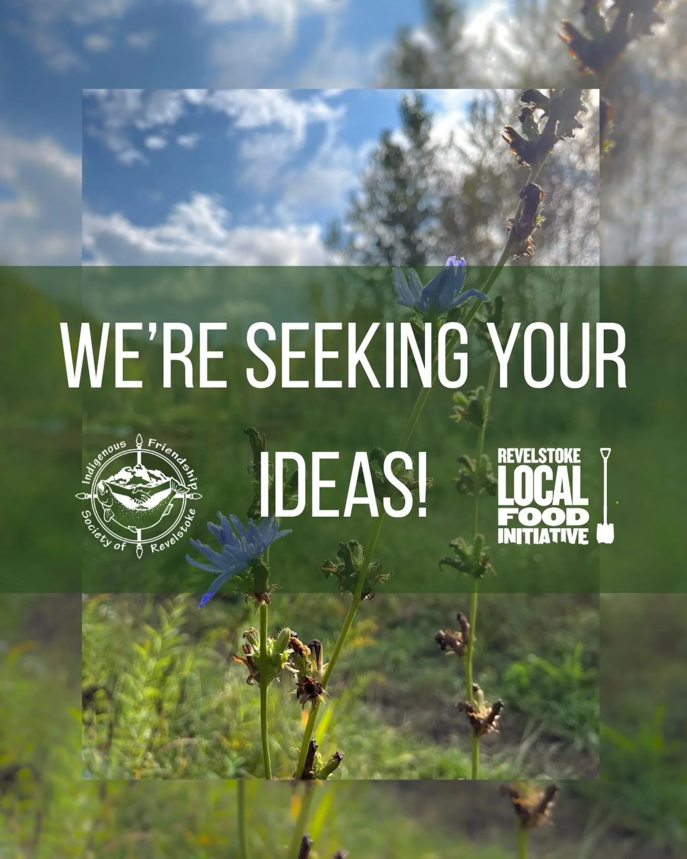 We are currently looking for your feedback to help inform future programming and development at the Food Commons! 🌱
Follow the link to the feedback survey in our bio to provide your input and help shape what Food Commons will become.
