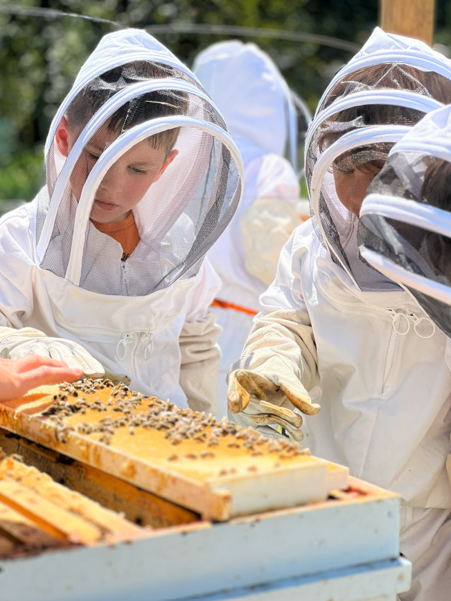 Screenshot 2026-01-21 163819.png