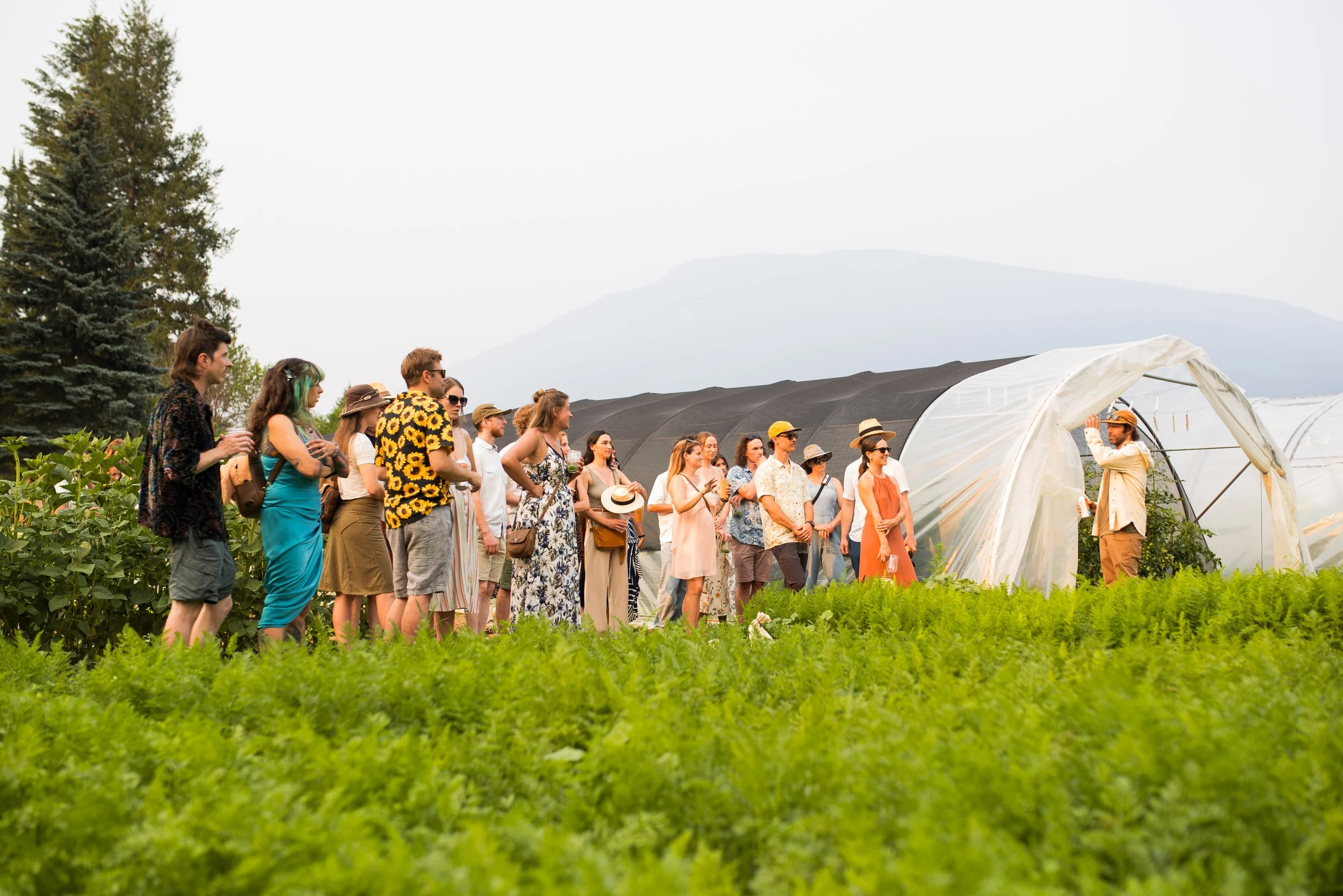 Midsummer Nights Green - 2024 - @maximvidricaire (43 of 118).jpeg