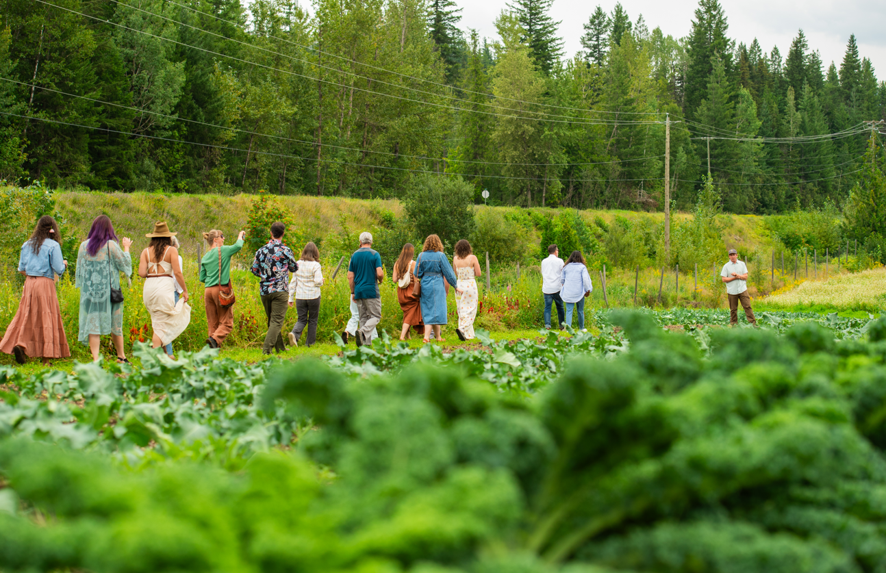 Screenshot 2026-01-10 231741.png