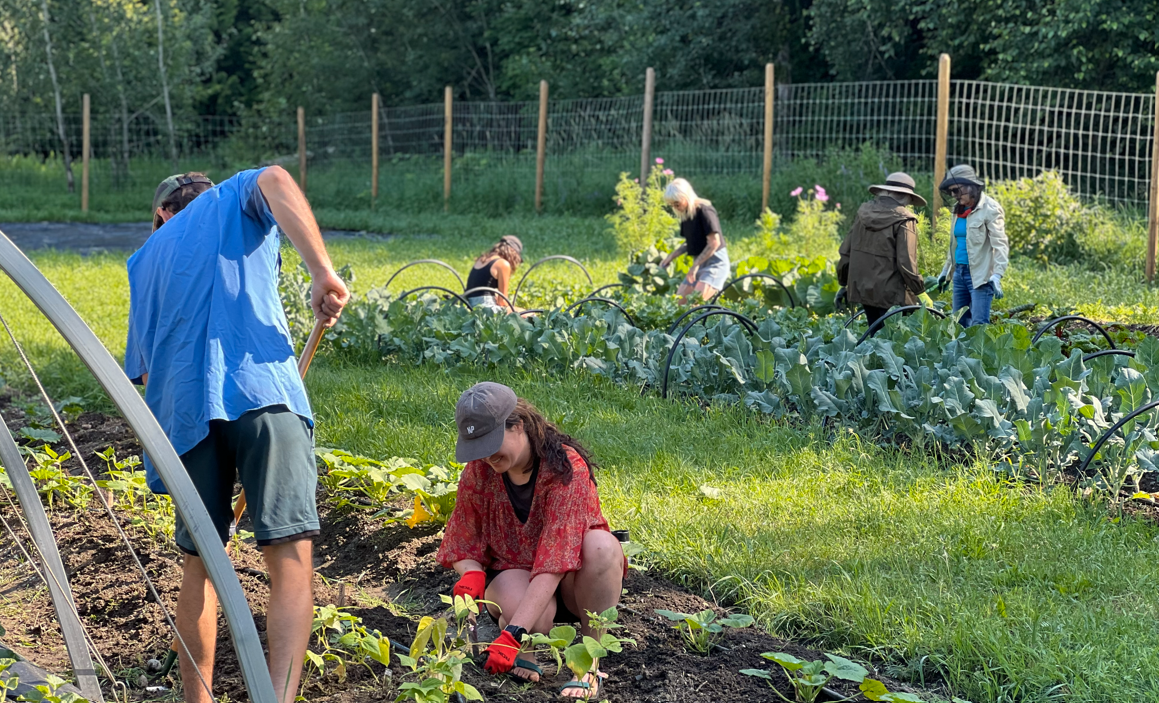 Local Food Initiative Revelstoke, community gardens.png
