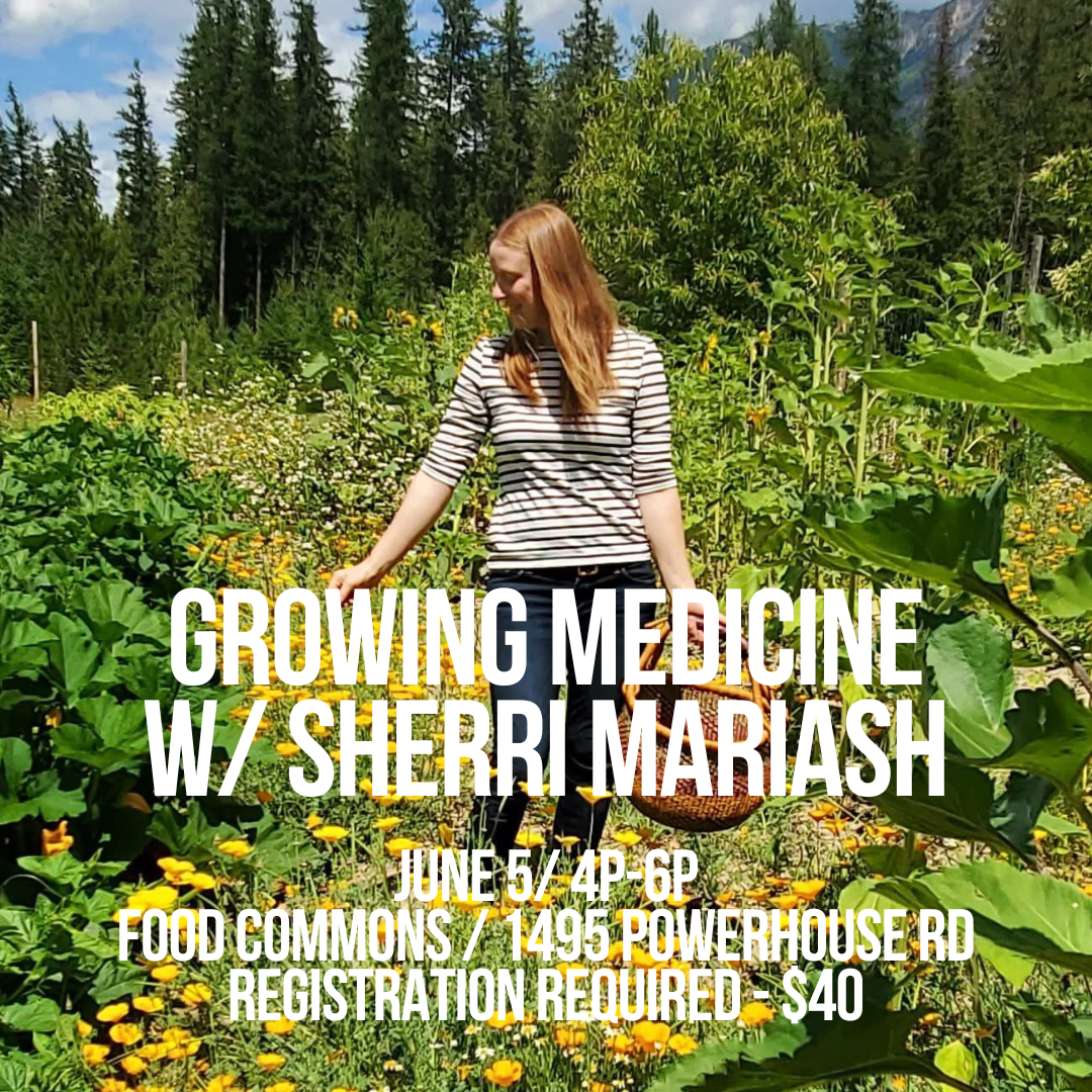 GROWING MEDICINE w/ SHERRI MARIASH (Food Commons)