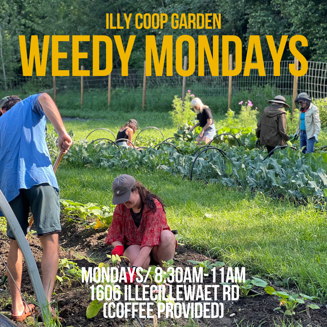 WEEDY MONDAYS: Coop community garden mornings