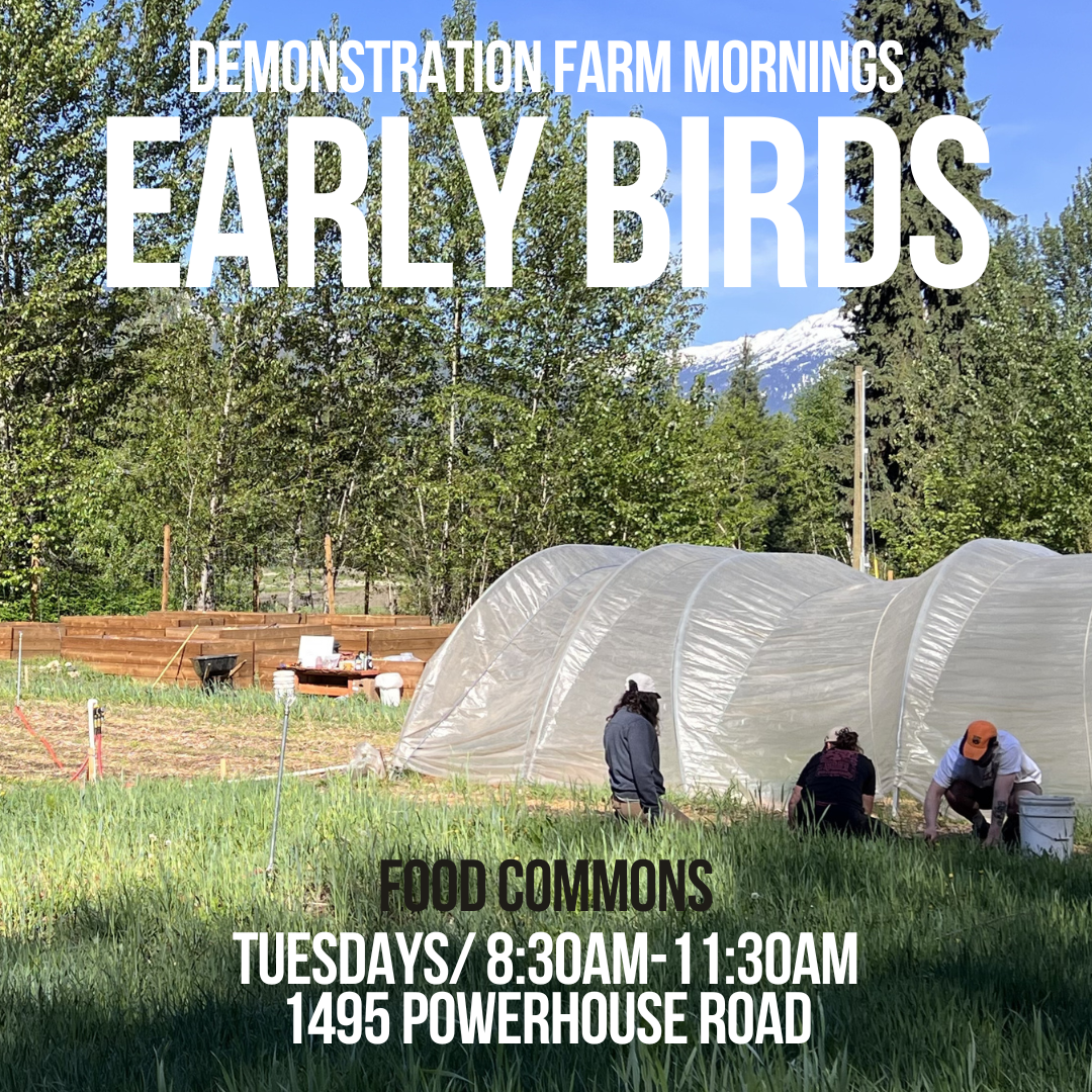 FOOD COMMONS EARLY BIRDS: Demonstration farm group growing