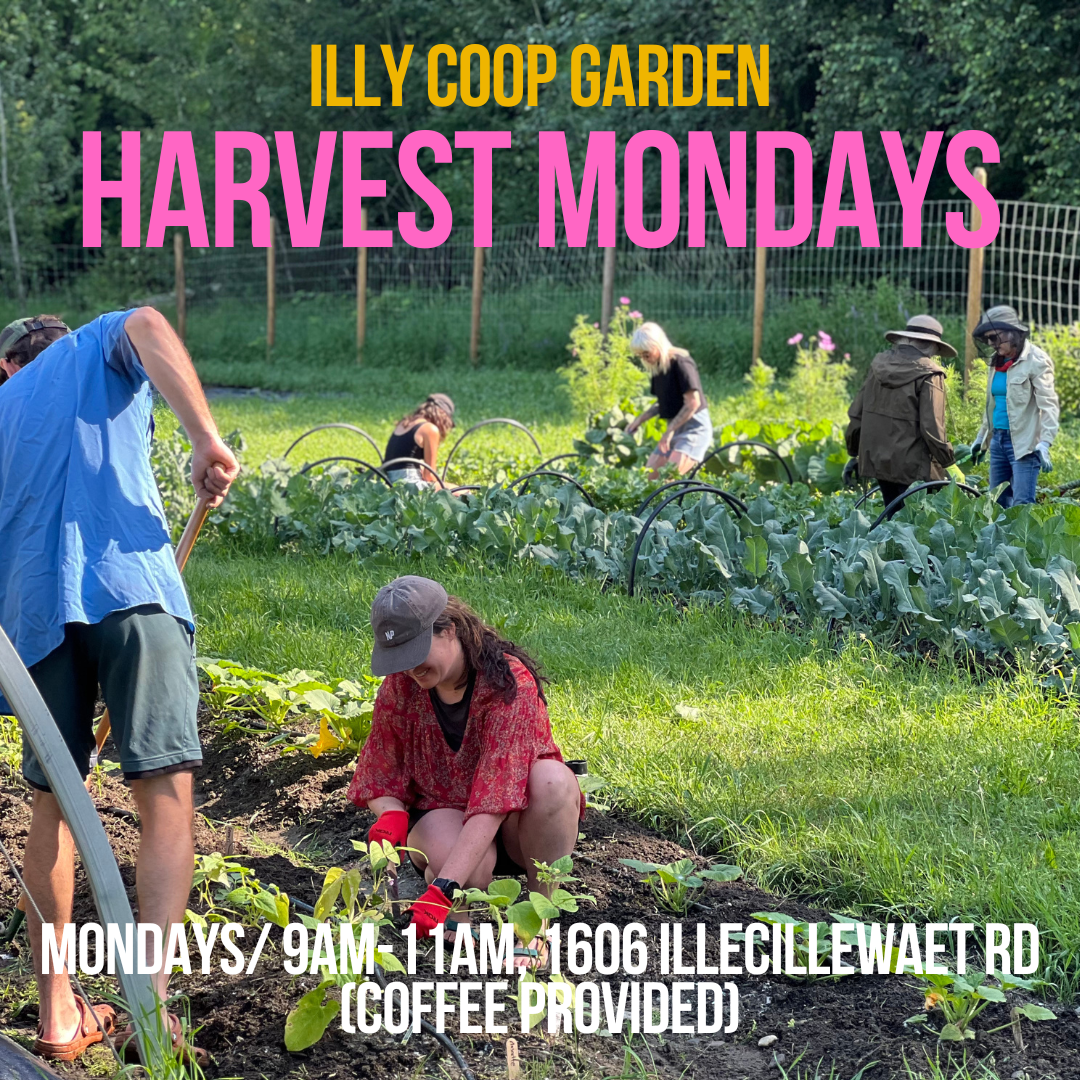 HARVEST MONDAYS: Coop community garden mornings