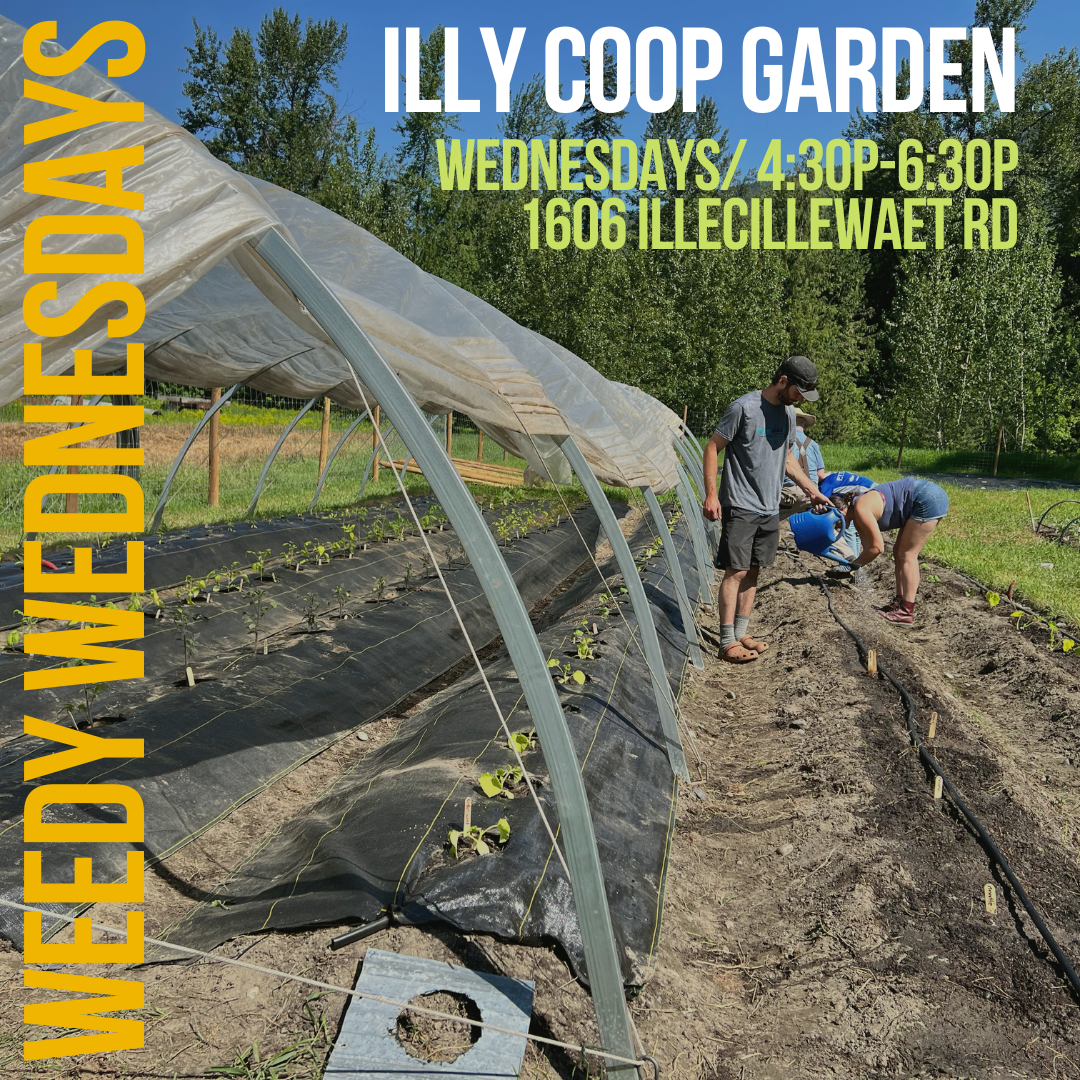 WEEDY WEDNESDAYS: Coop community garden 