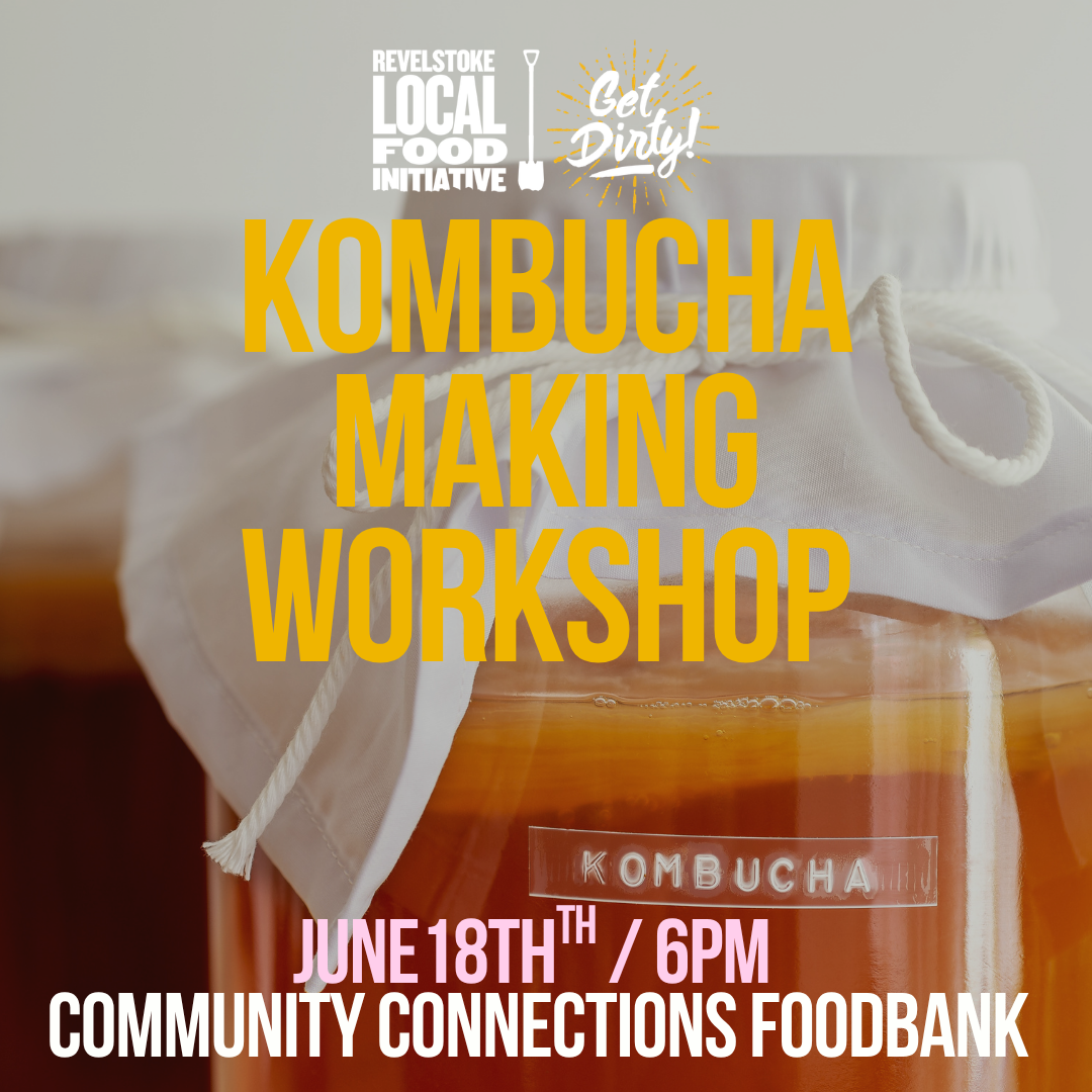 KOMBUCHA MAKING WORKSHOP (Kitchen Skills Series)