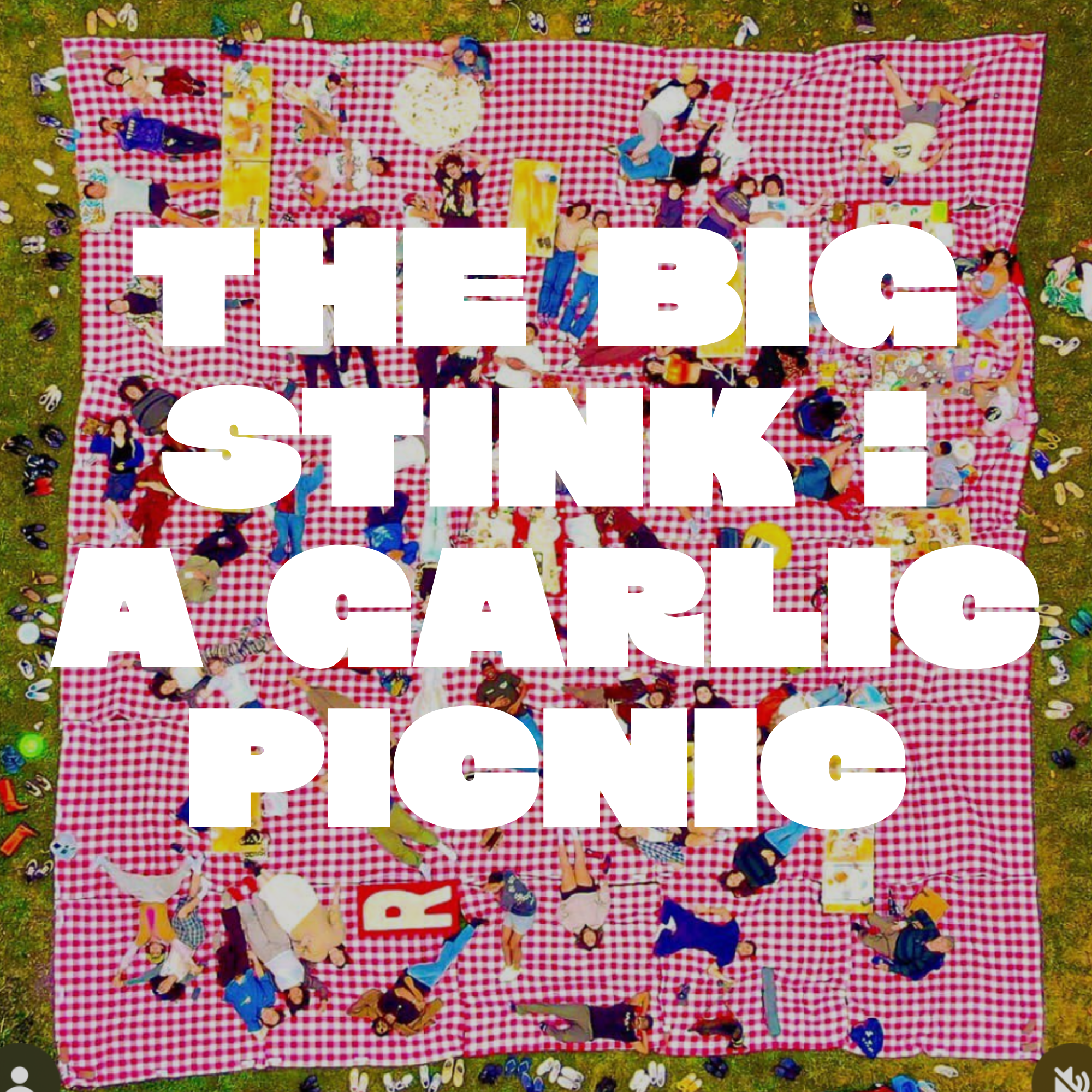 THE BIG STINK! A giant garlic picnic