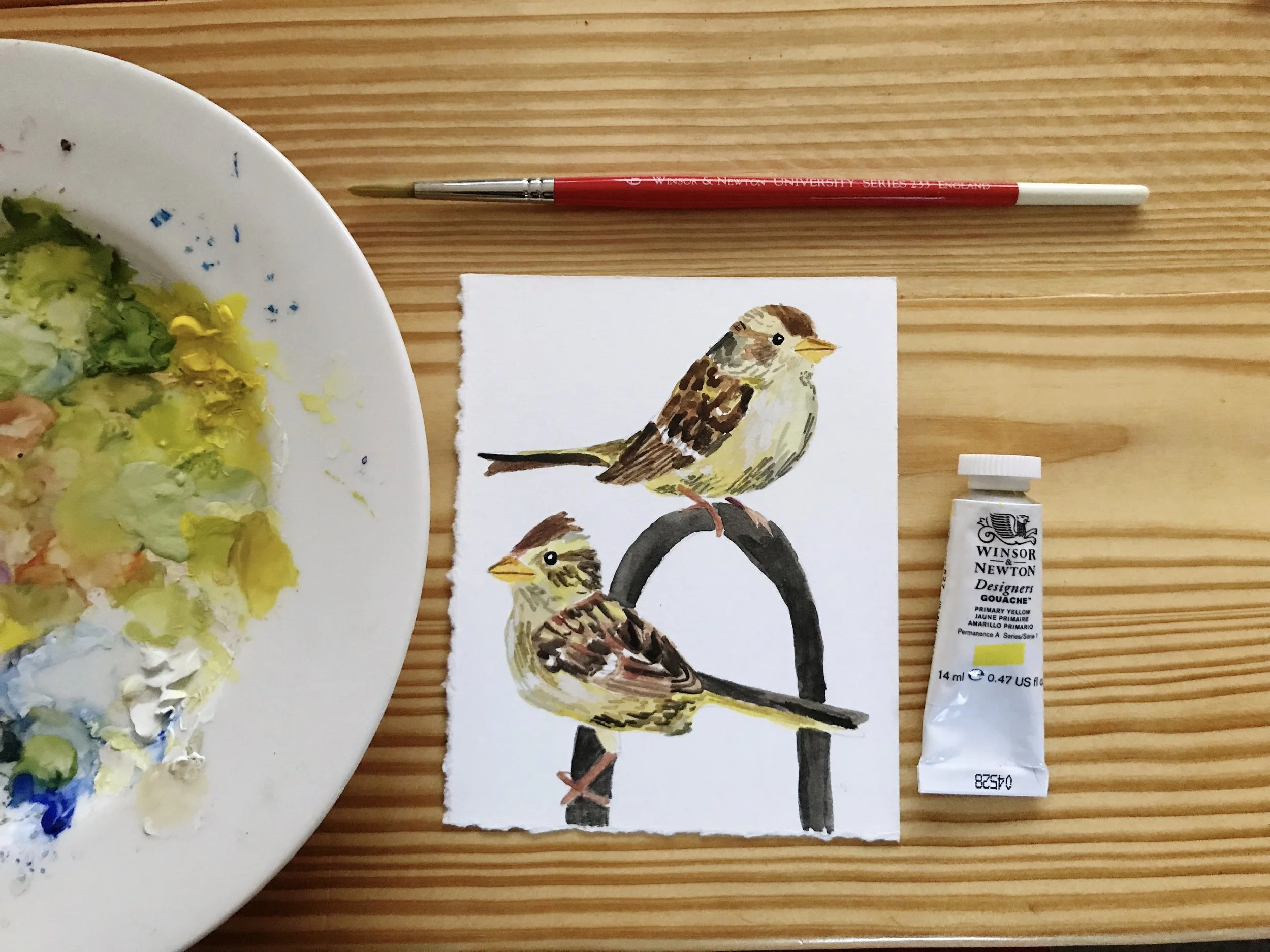 Gouache-Finches.jpg
