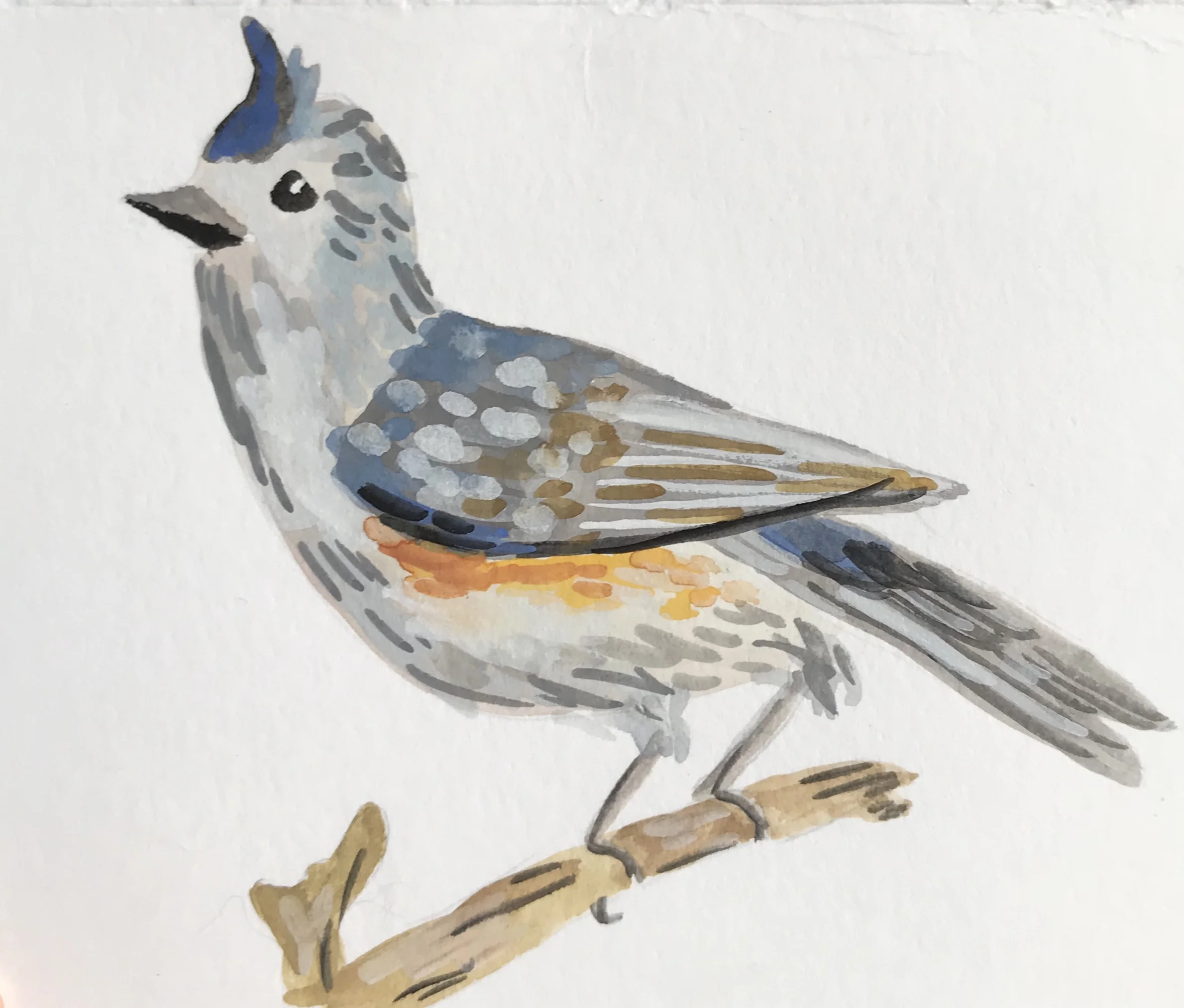 Gouache-Titmouse.jpg