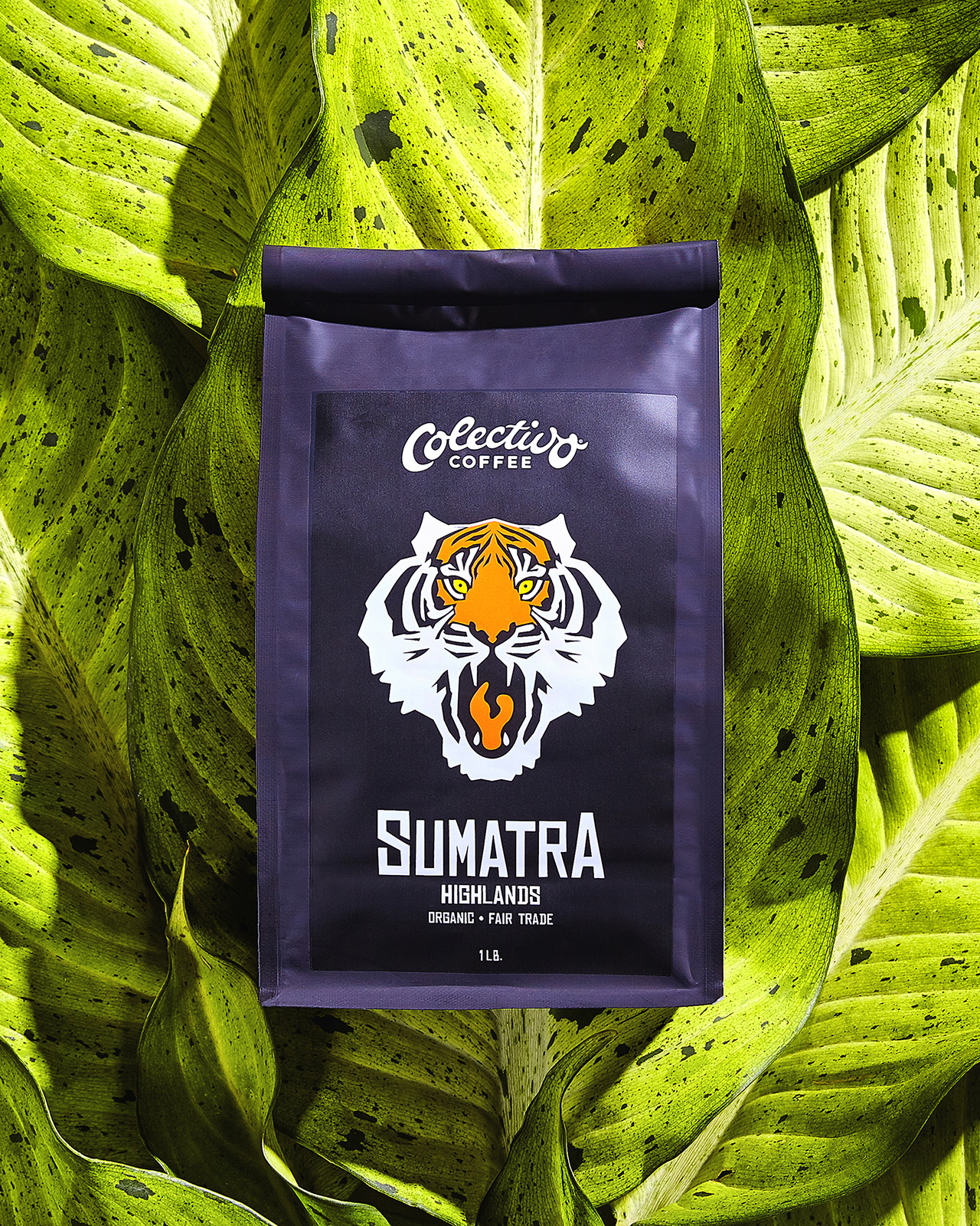 Sumatra_1600p.jpg