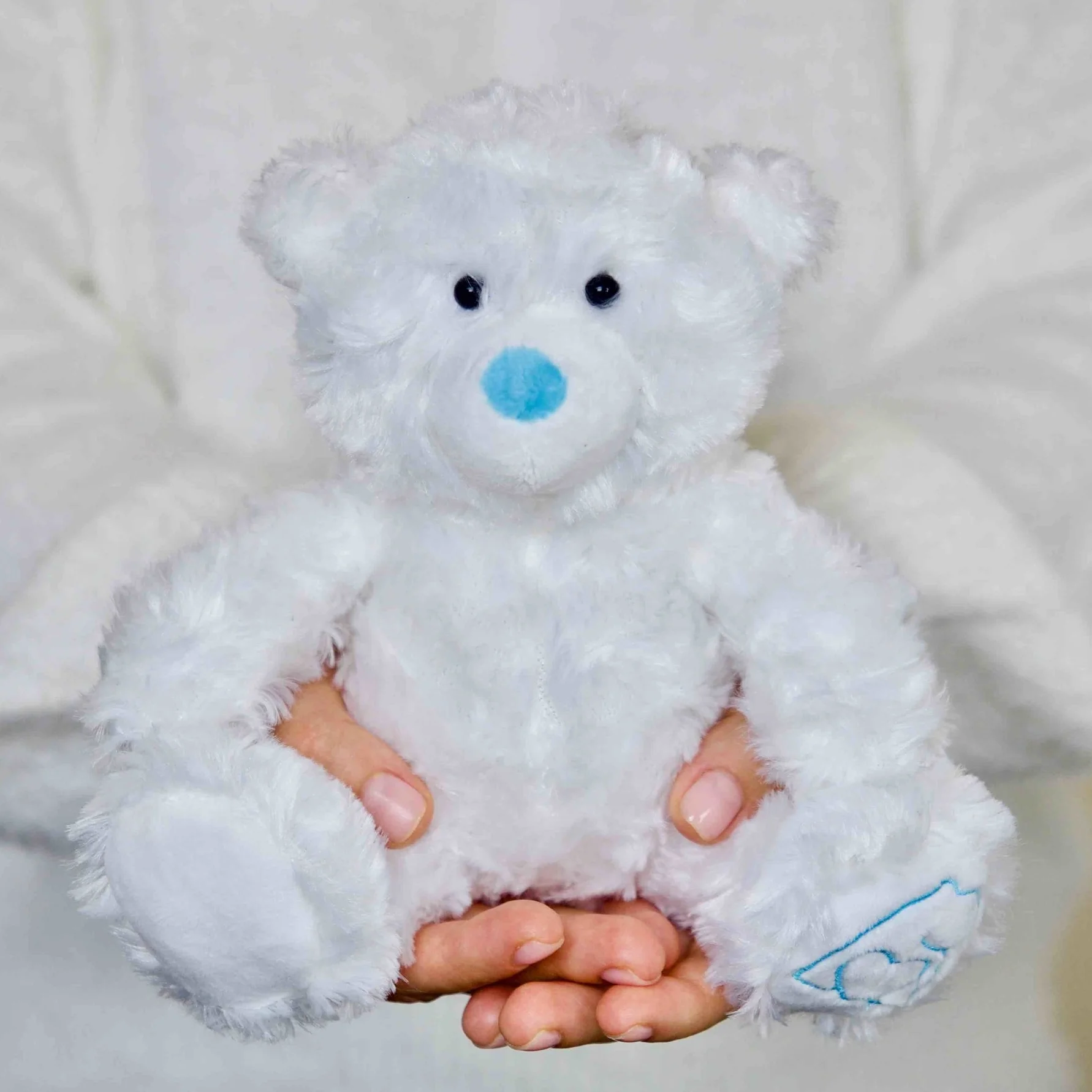 bearhugs teddy bear bill hug in a box.jpg