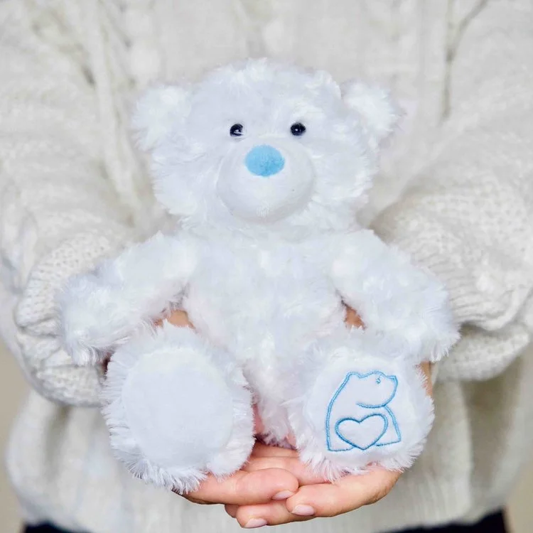 bearhugs+teddy+bear+bill hug in a box.jpg