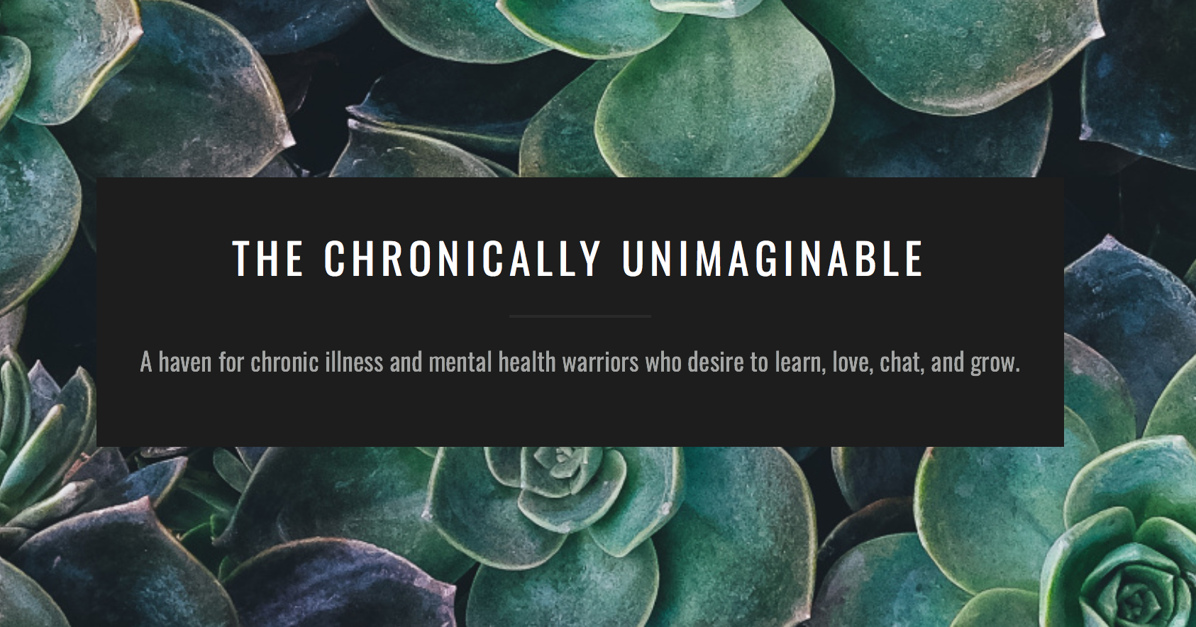 bearhugs chronically unimaginable review gift boxes to send by post chronic illness.png