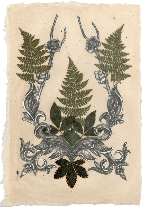 Botanical Study No. 1