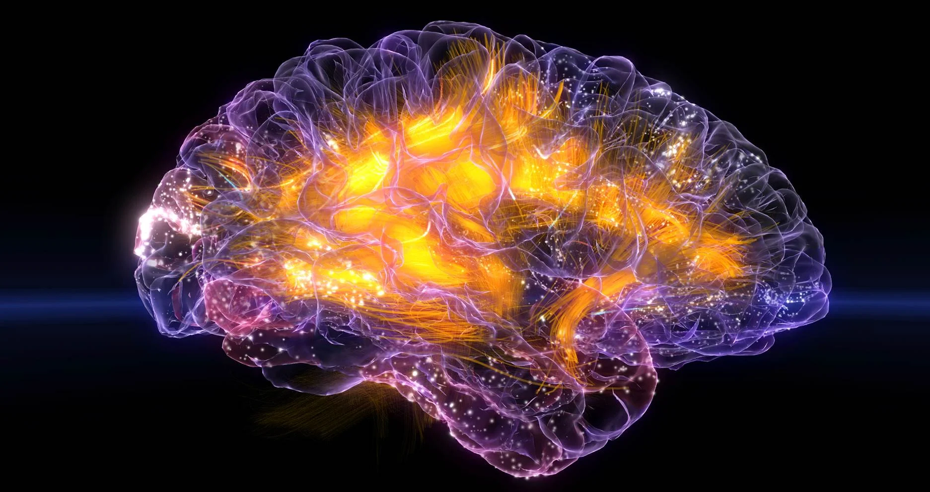 Glass-Brain.jpg