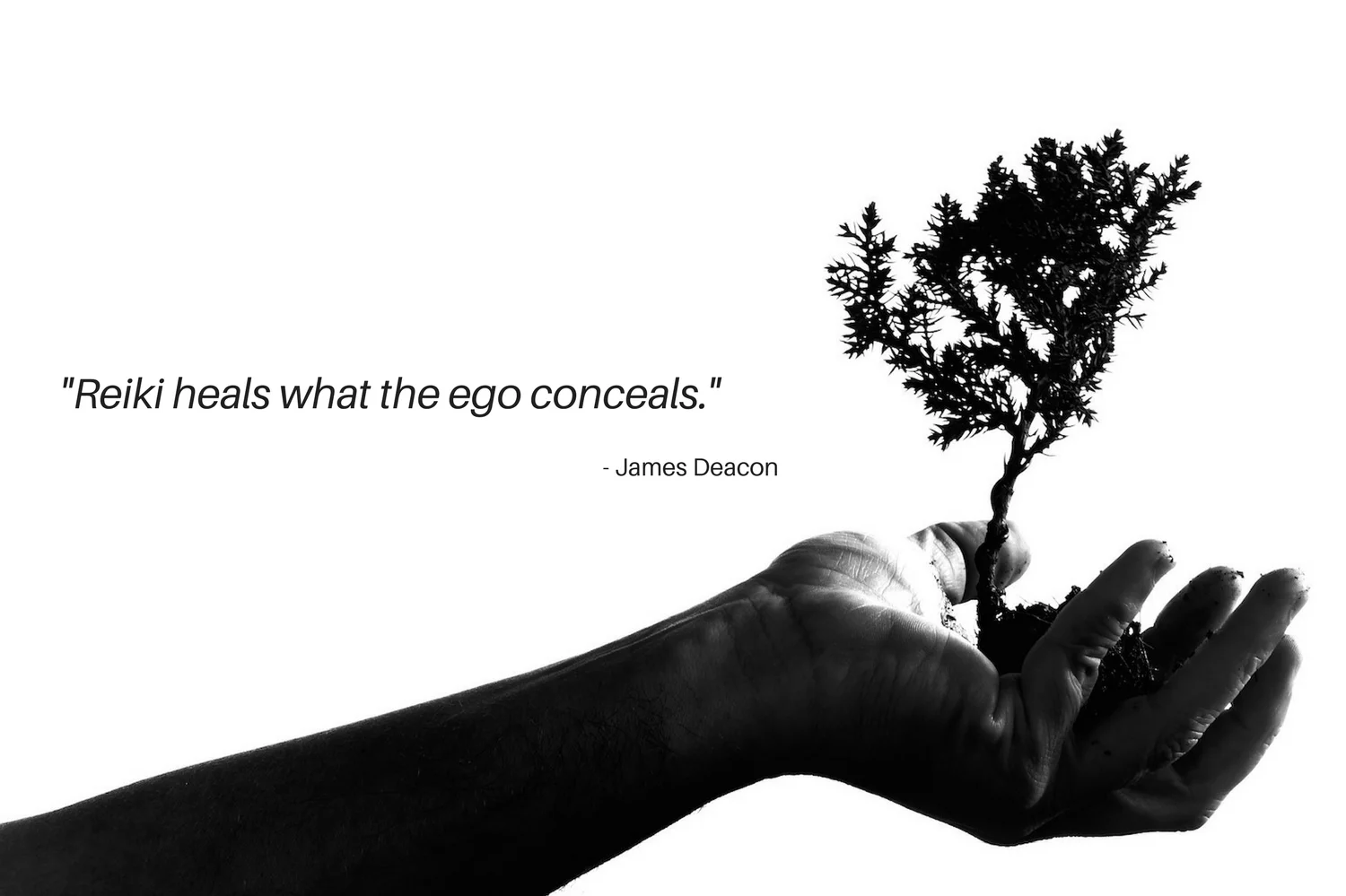 %22Reiki heals what the ego conceals%22-4.jpg