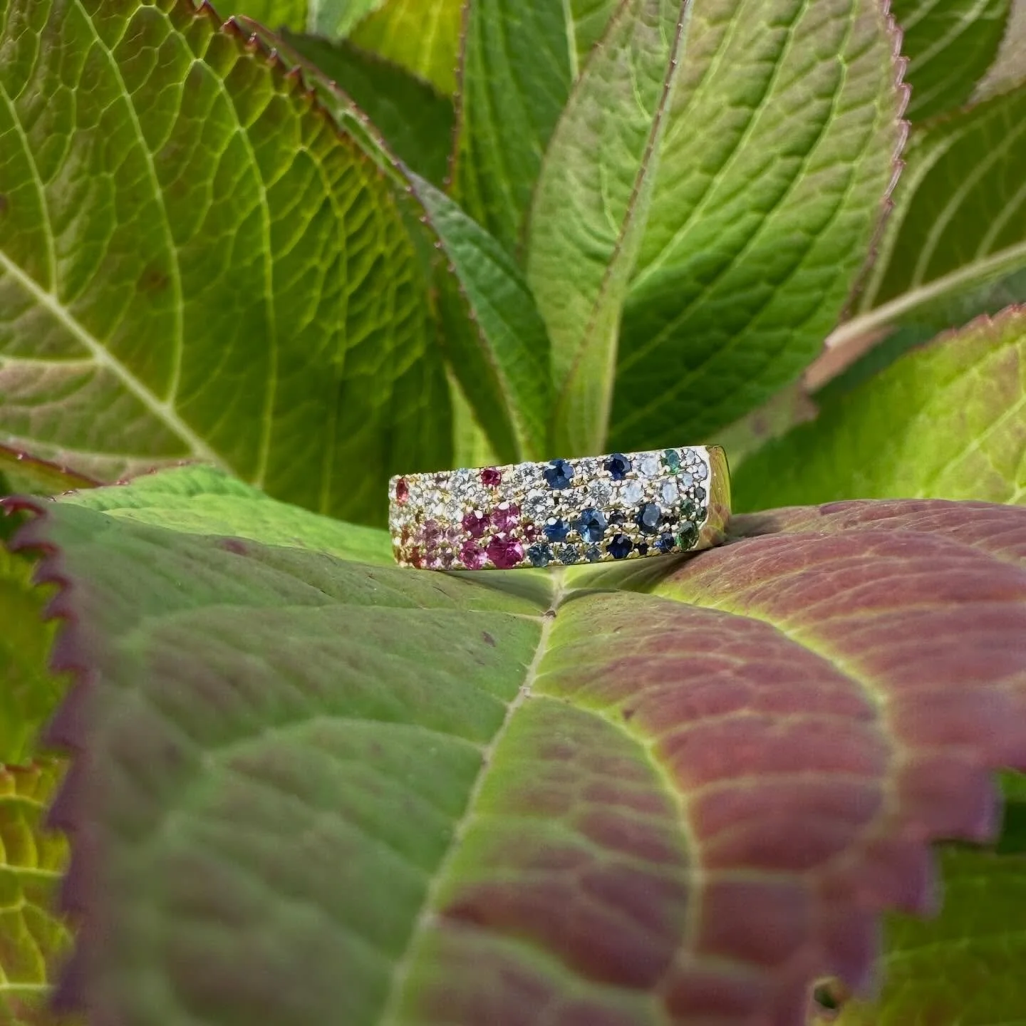 Wrapped in gold, dazzling with color. ✨💖
#bg #blueground #bluegroundjewelry #pittsford #pittsfordny #pittsfordplaza #jewelry #sapphire #sapphires #gold #diamonds #finejewelry #shoplocal #shopsmall