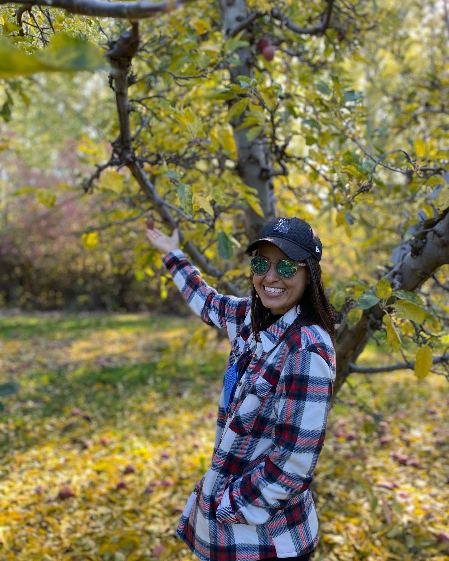 Apple picking: 
-Apples May Lower High Cholesterol and Blood Pressure.
-Eating Foods With Fiber, Including Apples, Can Aid Digestion.
-Apples Can Support a Healthy Immune System.
-Apples Are a Diabetes-Friendly Fruit.
-The Antioxidants in Apples May 