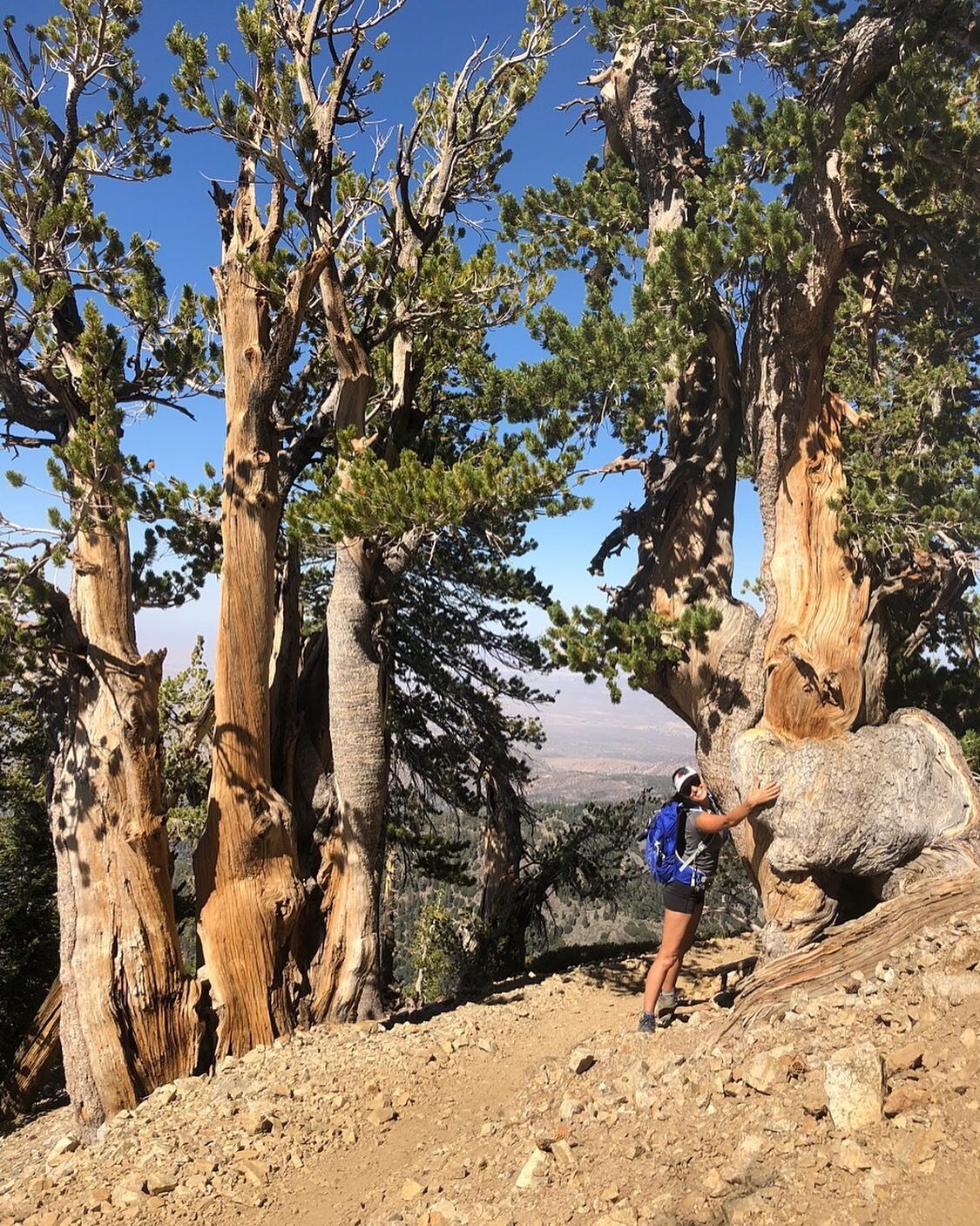 &ldquo;The Earth will not continue to offer its harvest, except with faithful stewardship. We cannot say we love the land and then take steps to destroy it for use by future generations.&rdquo;
&mdash;John Paul II

Faithful stewardship = Compassionat