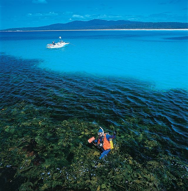 St. Helens is giving us some serious summer vibes in this picture! Who else wants to check it out?
Why not book a stay at BIG4 St Helens Holiday Park and give it a go!
LINK IN THE BIO!
#ExploreBIG4 #BIG4 #BIG4HolidayParks #SeeAustralia #Tasmania #StHelens #DiscoverTasmania