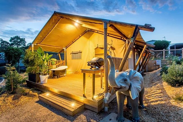 Camping can be seasonal due to weather... But you can GLAMP all year around!
Check out this amazing Glamping set up at @big4anglesea
LINK IN THE BIO!
#ExploreBIG4 #BIG4 #BIG4HolidayParks #SeeAustralia #Glamping #Anglesea