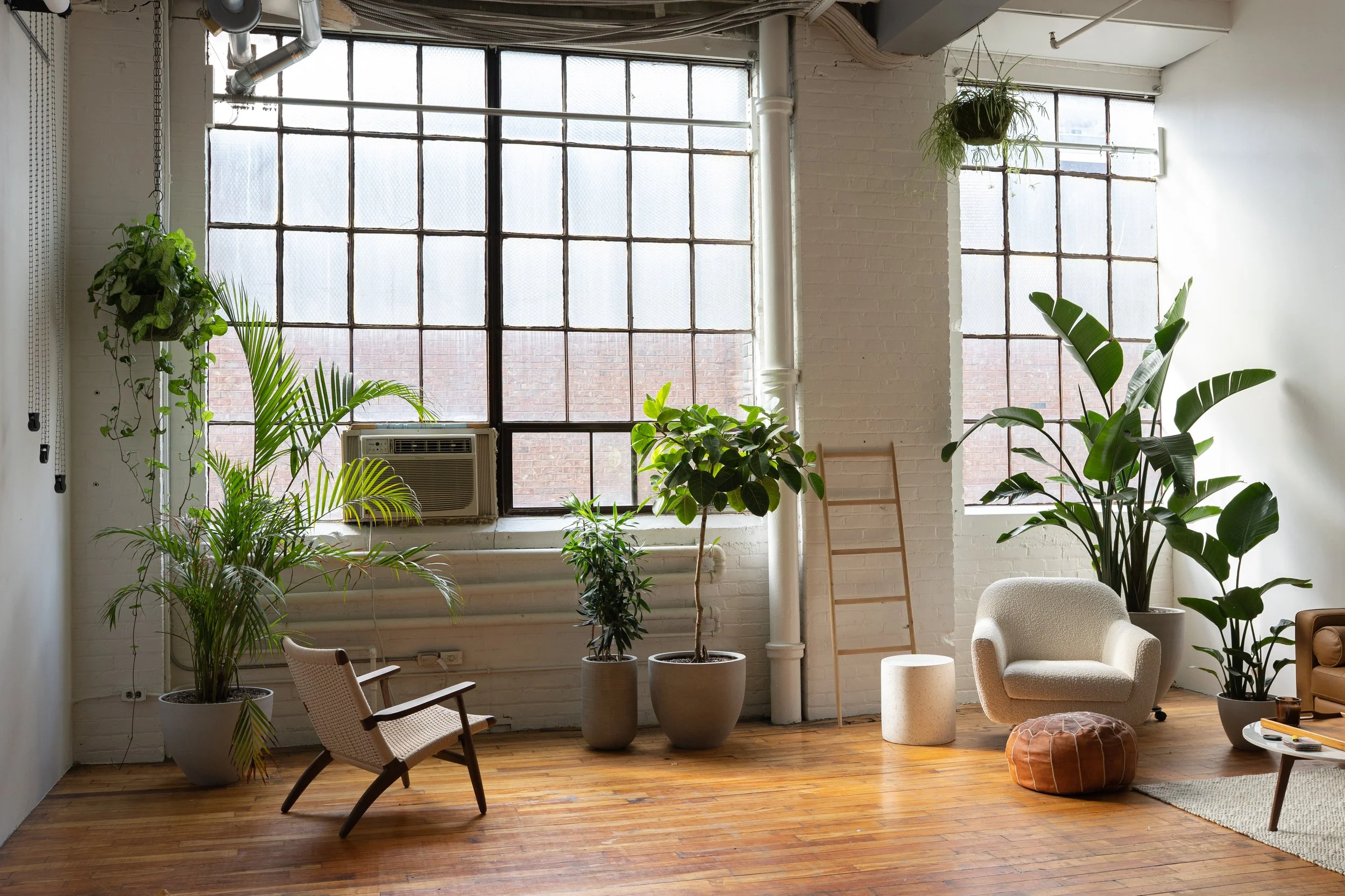 Studio202-18.jpg